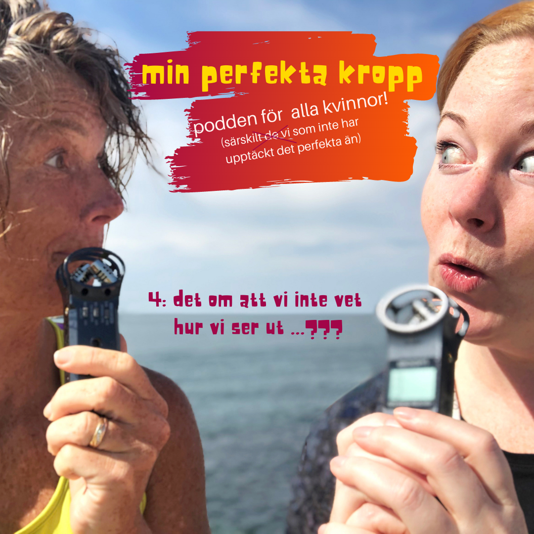 mitt perfekta liv