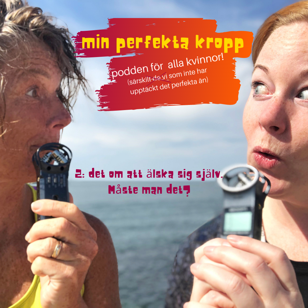 mitt perfekta liv