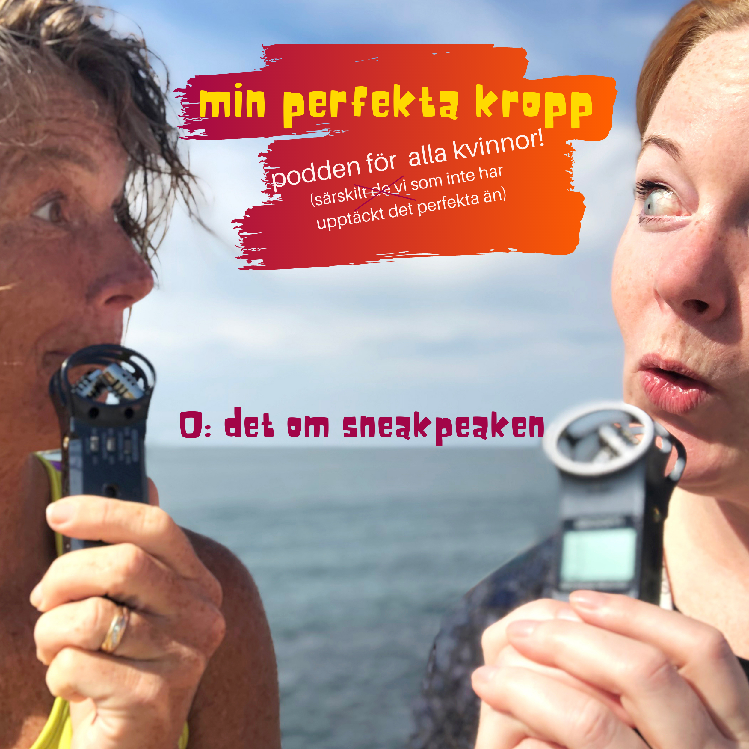 mitt perfekta liv