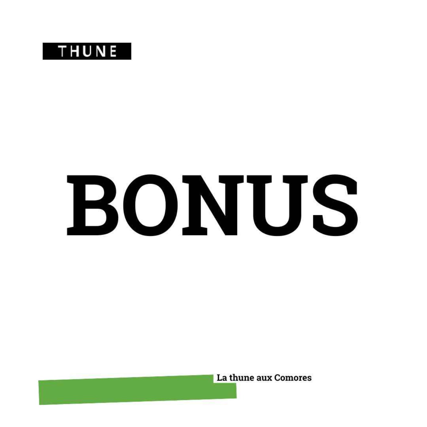 cover art for BONUS // Les businesswomen des Comores