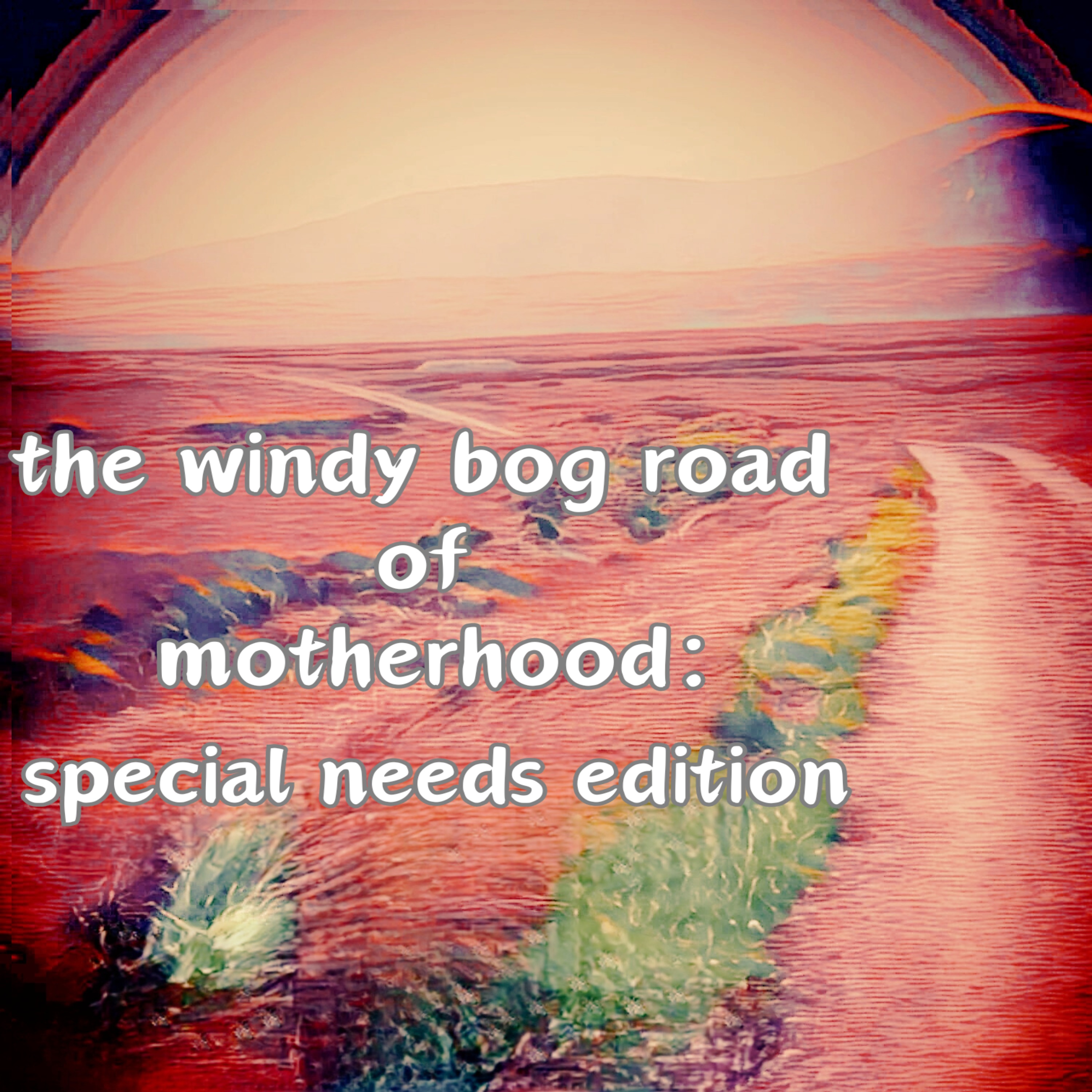 the windy bog road of motherhood: special needs edition