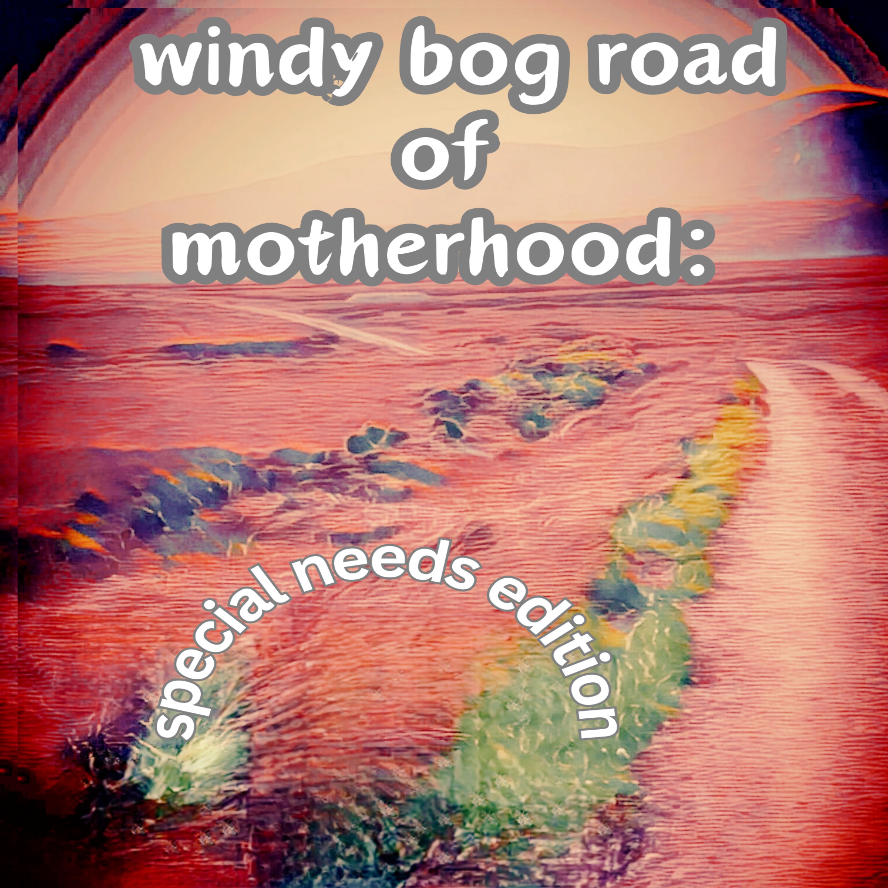 the windy bog road of motherhood: special needs edition