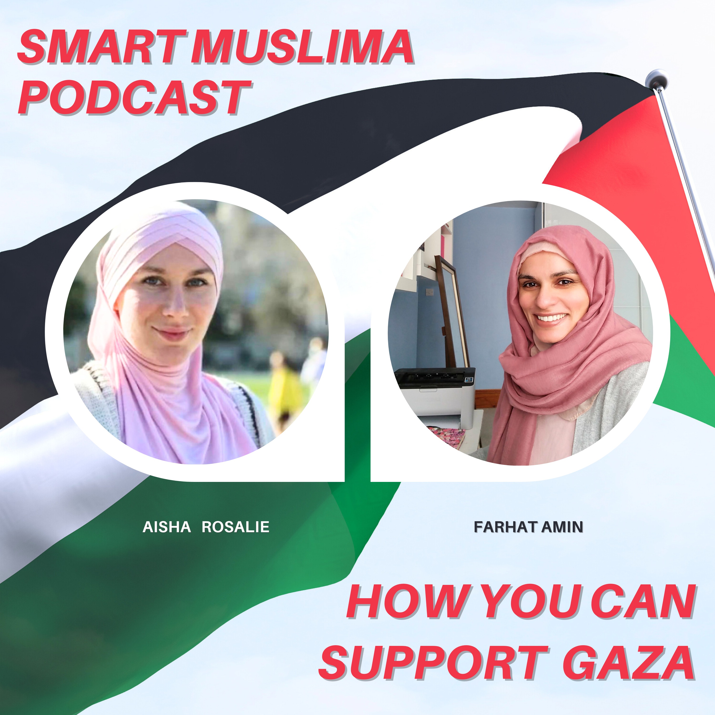 cover art for How you can support Gaza with Aisha Rosalie