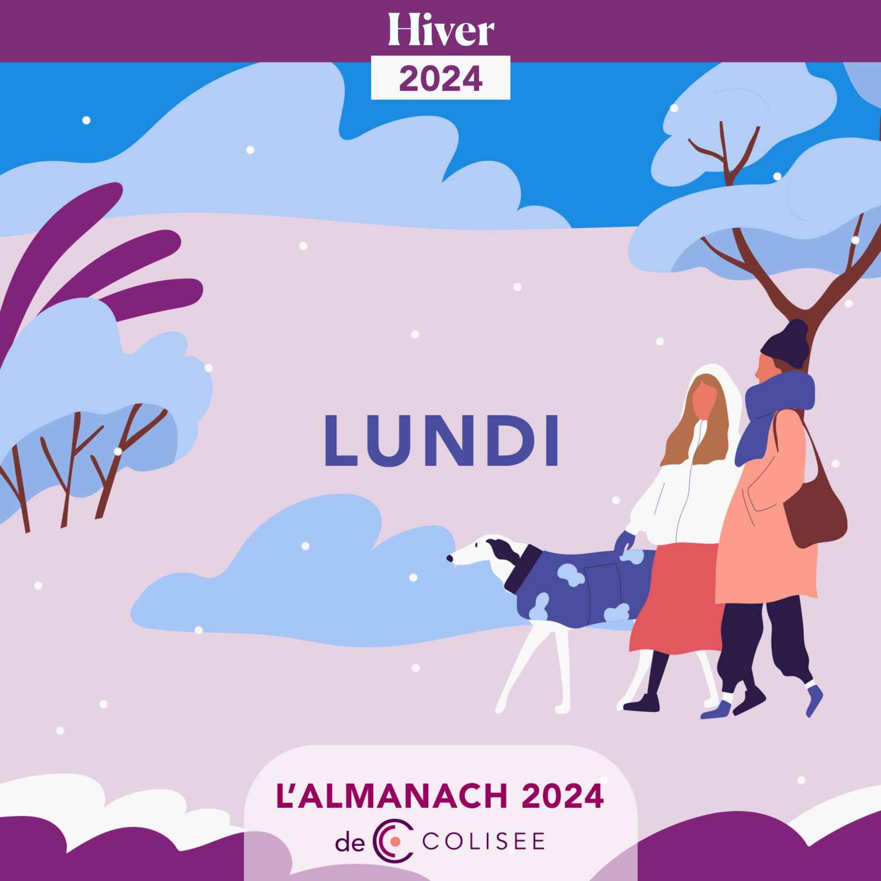 Lundi 18 mars 2024 - Saint Cyril - Méduse immortelle