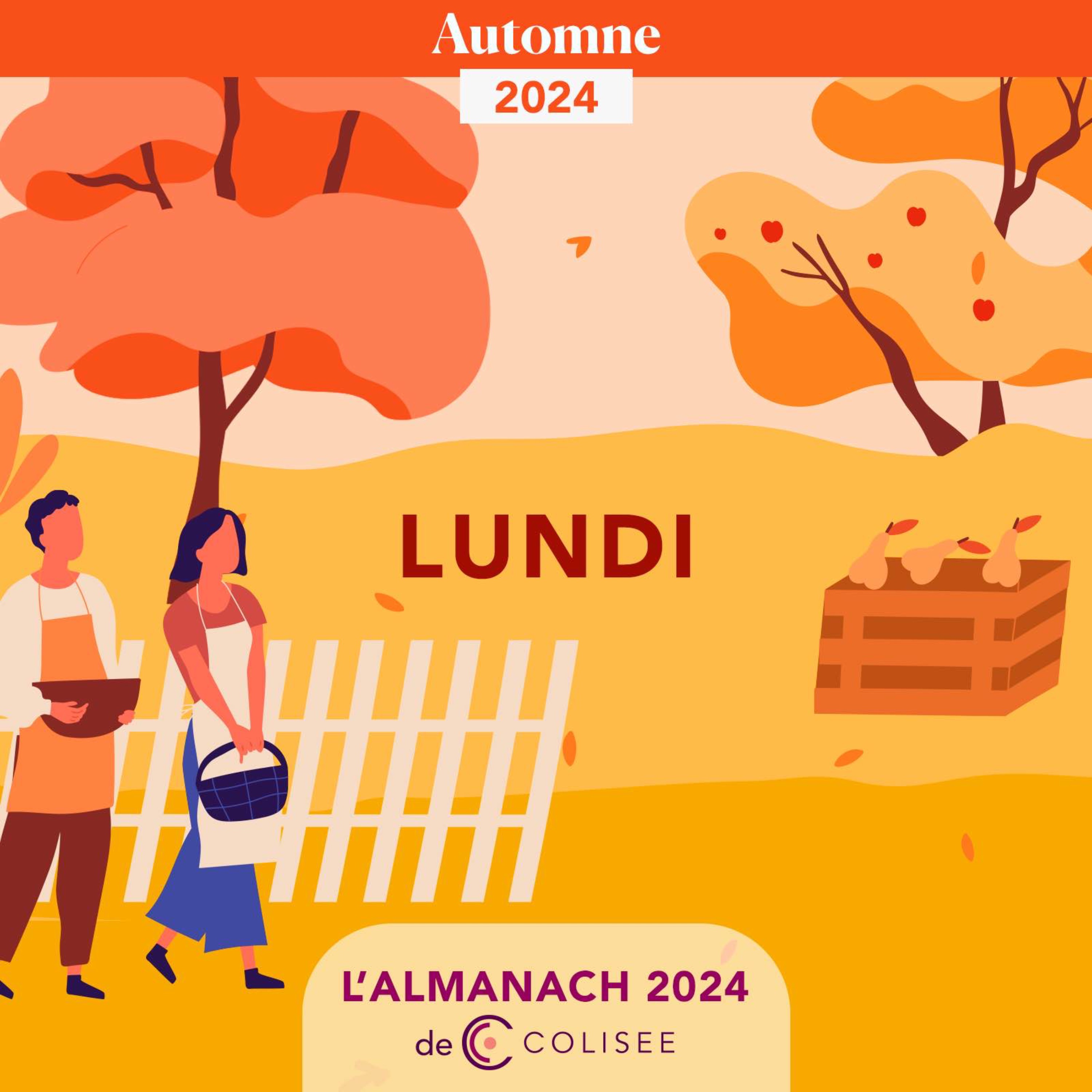 Lundi 2 Décembre 2024 - Sainte Vivianne - Sapin de Noël