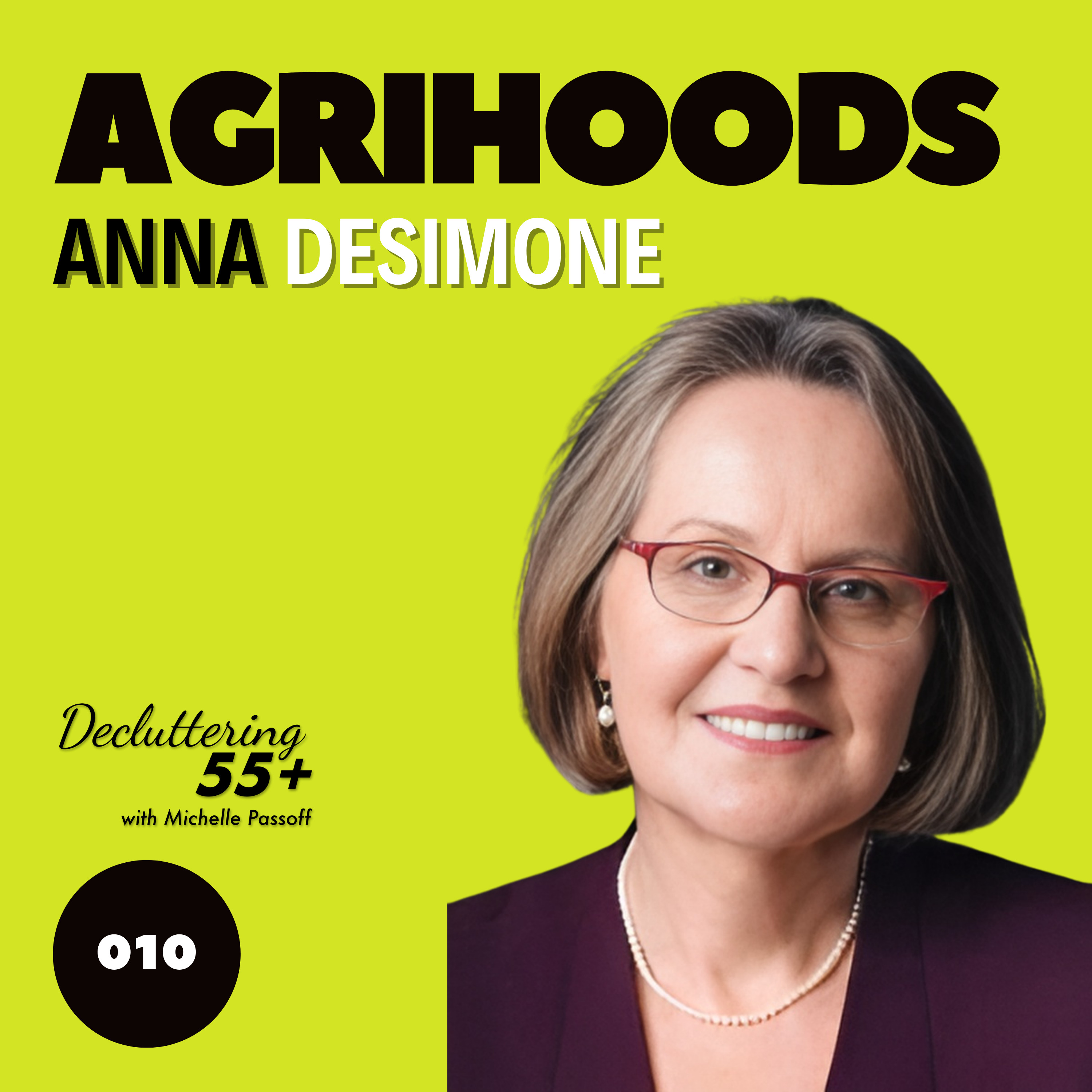 Decluttering 55+ with Michelle Passoff