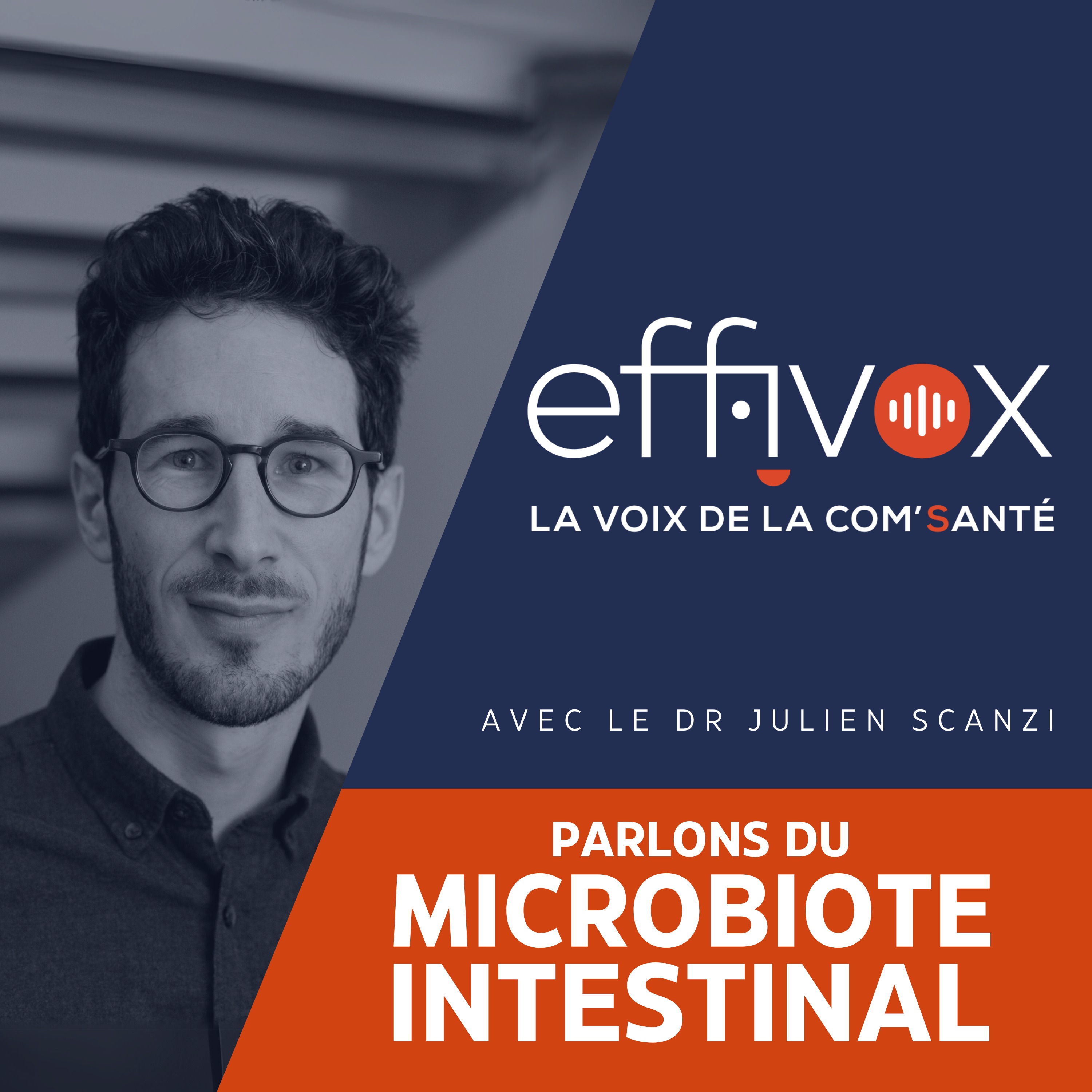 Effivox - La voix de la Com\' Santé