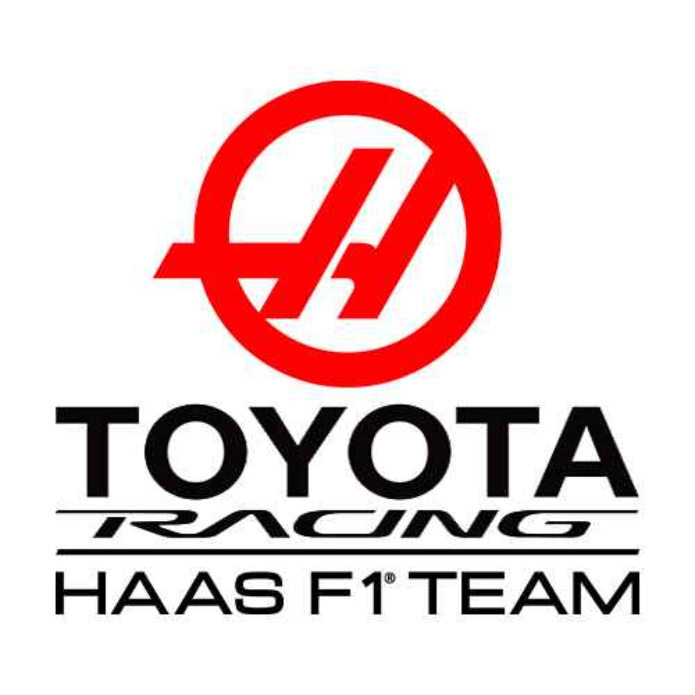 LawVS - The Ladder Man