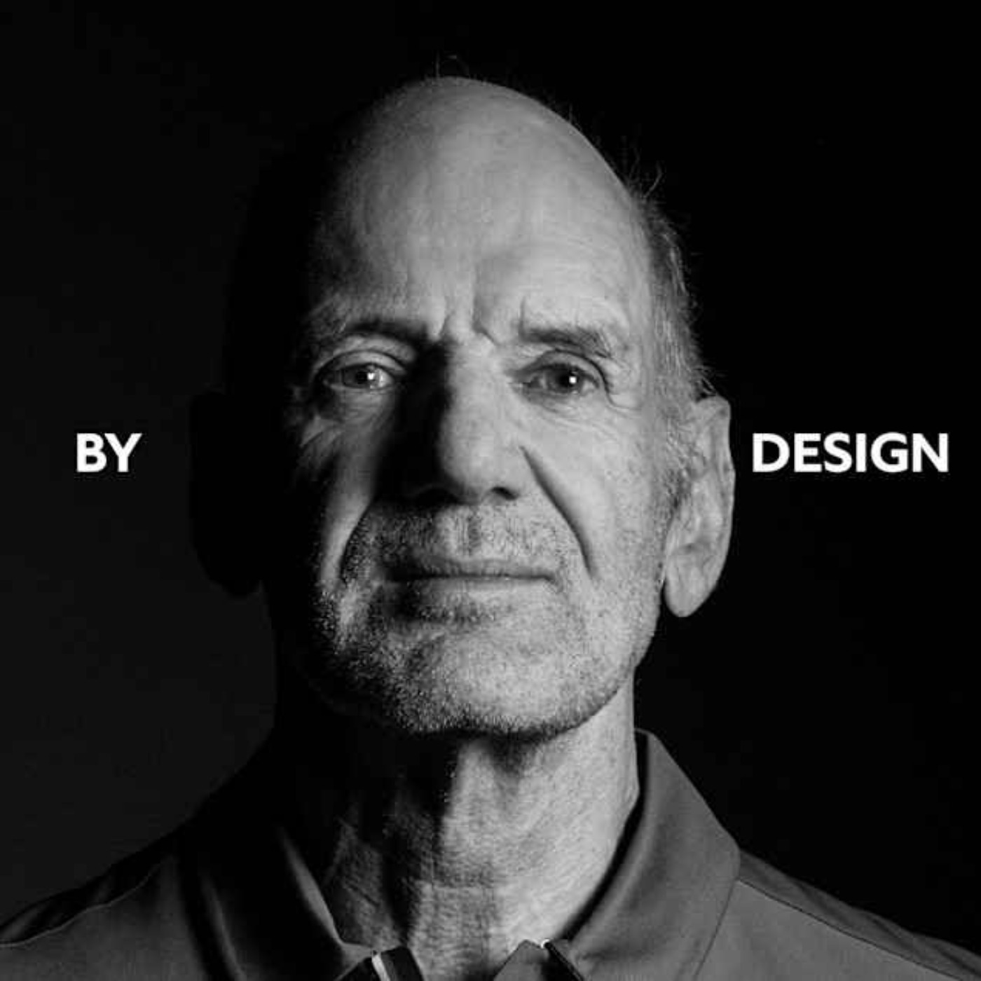 LawVS - The Ladder Man