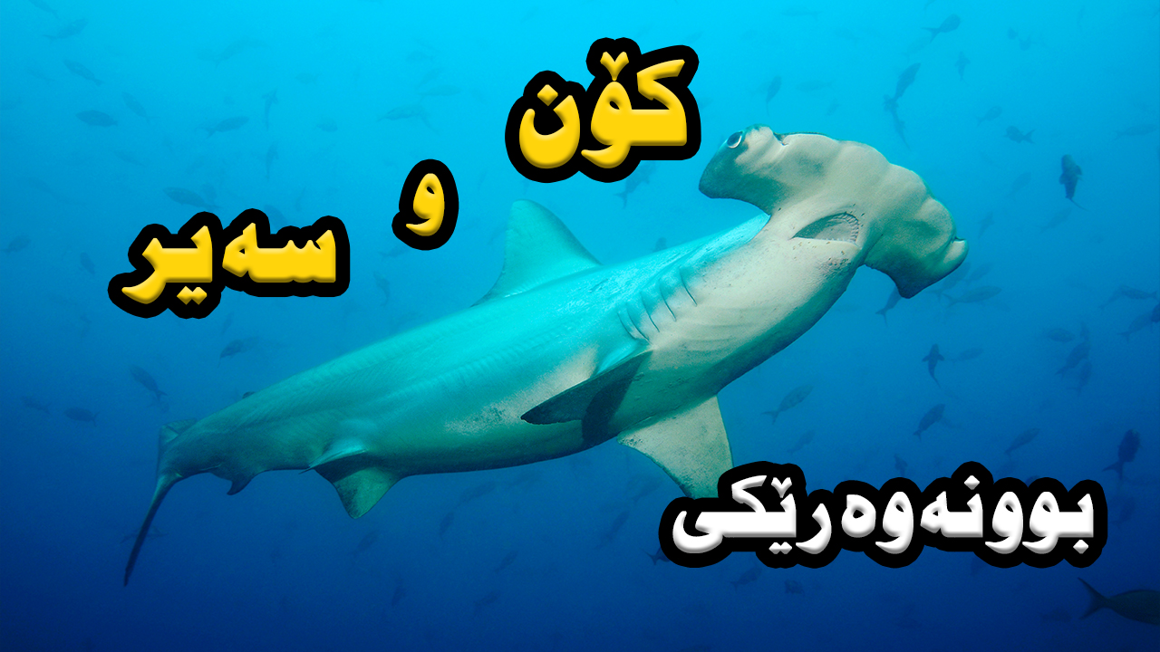 سەرچەکوچی ، بوونەوەرێک کە دەبوایە لە ناو چووبا بەڵام هەر هەیە episode artwork