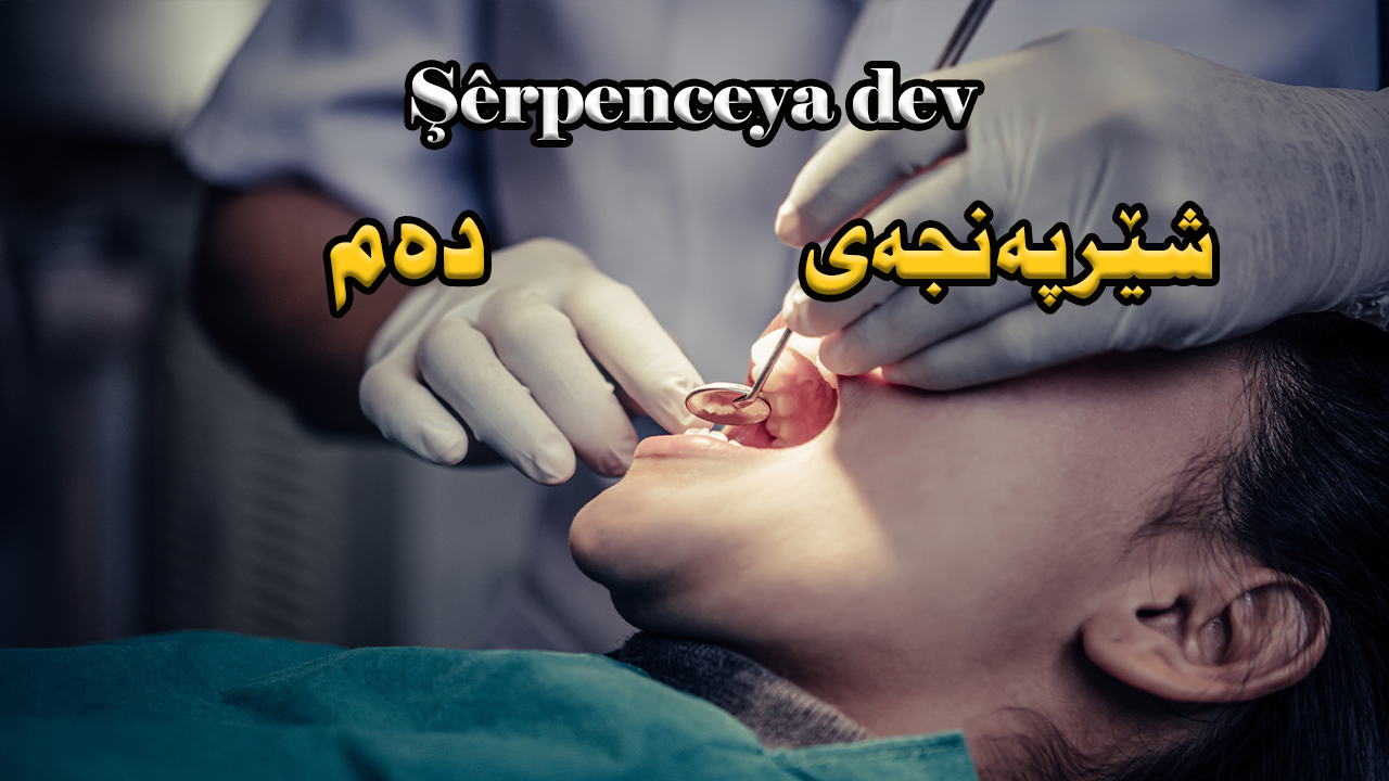 مەترسیەکانی شێرپەنجەی دەم Şêrpenceya dev episode artwork