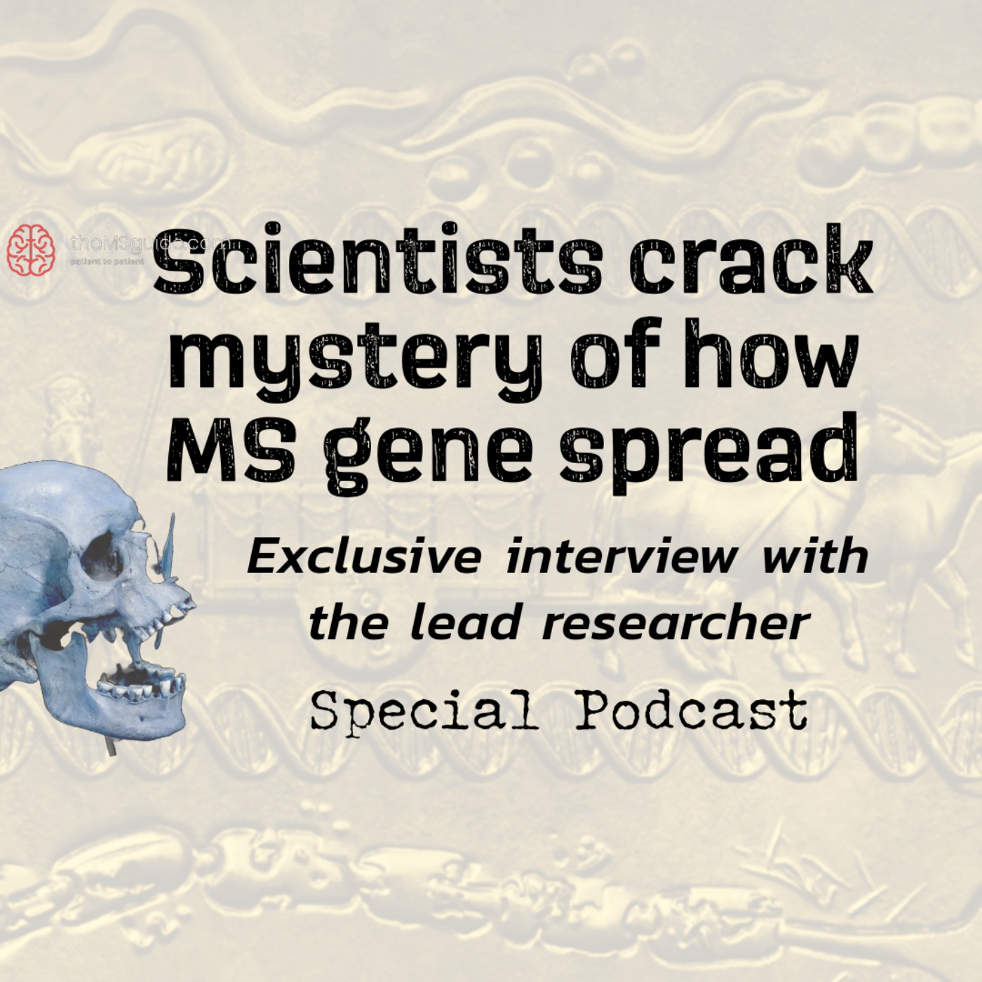theMSguide podcast