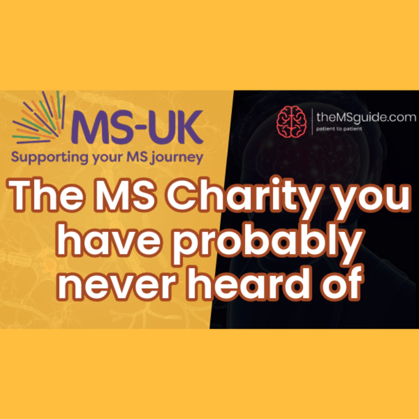 theMSguide podcast