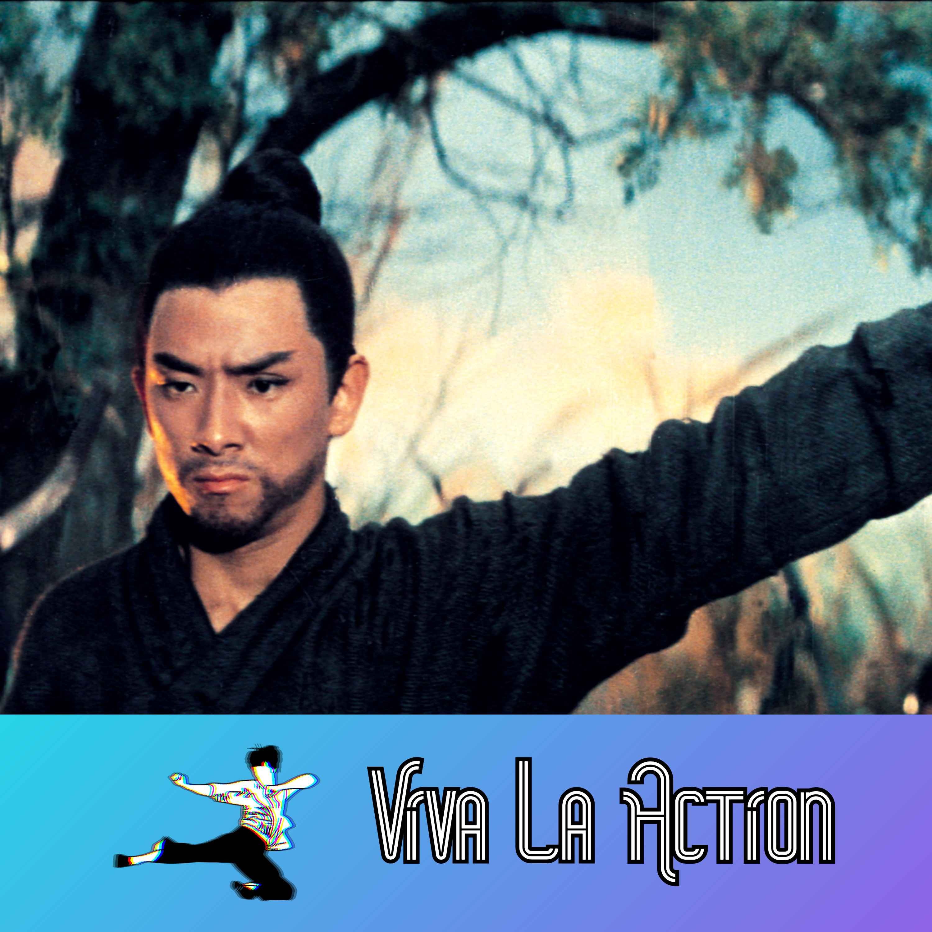 The One Armed Swordsman (1967) - Action Movie Review