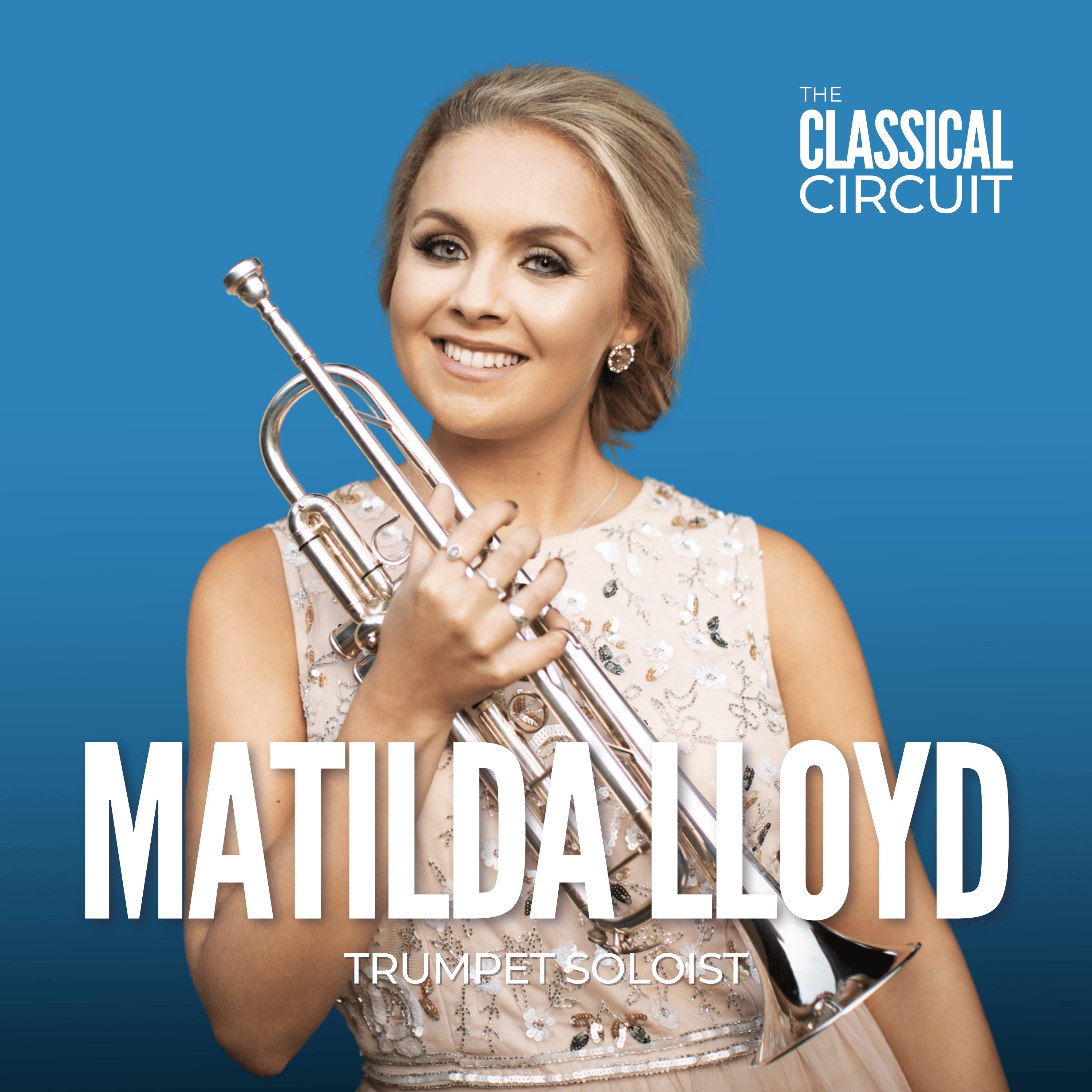 The Classical Circuit