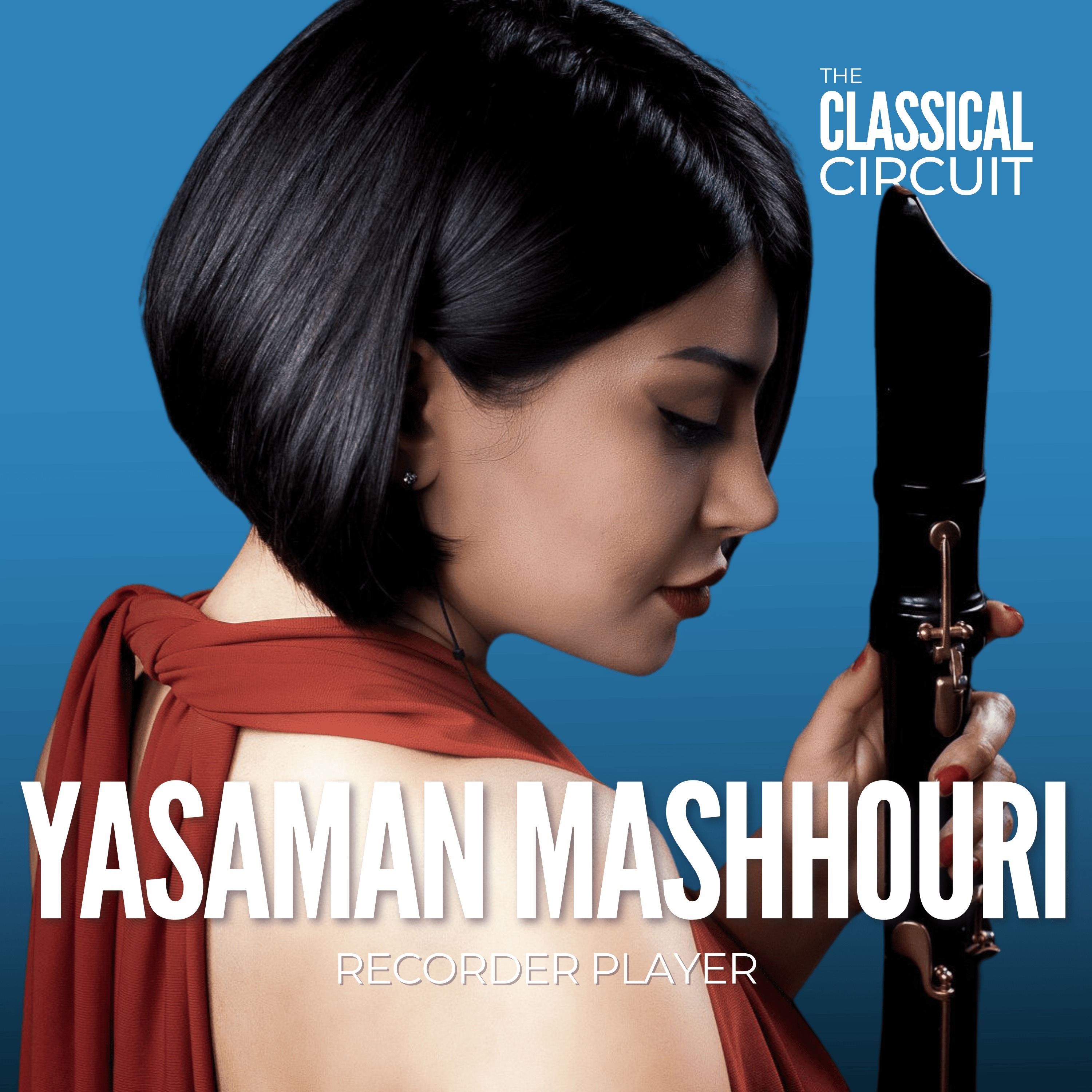The Classical Circuit