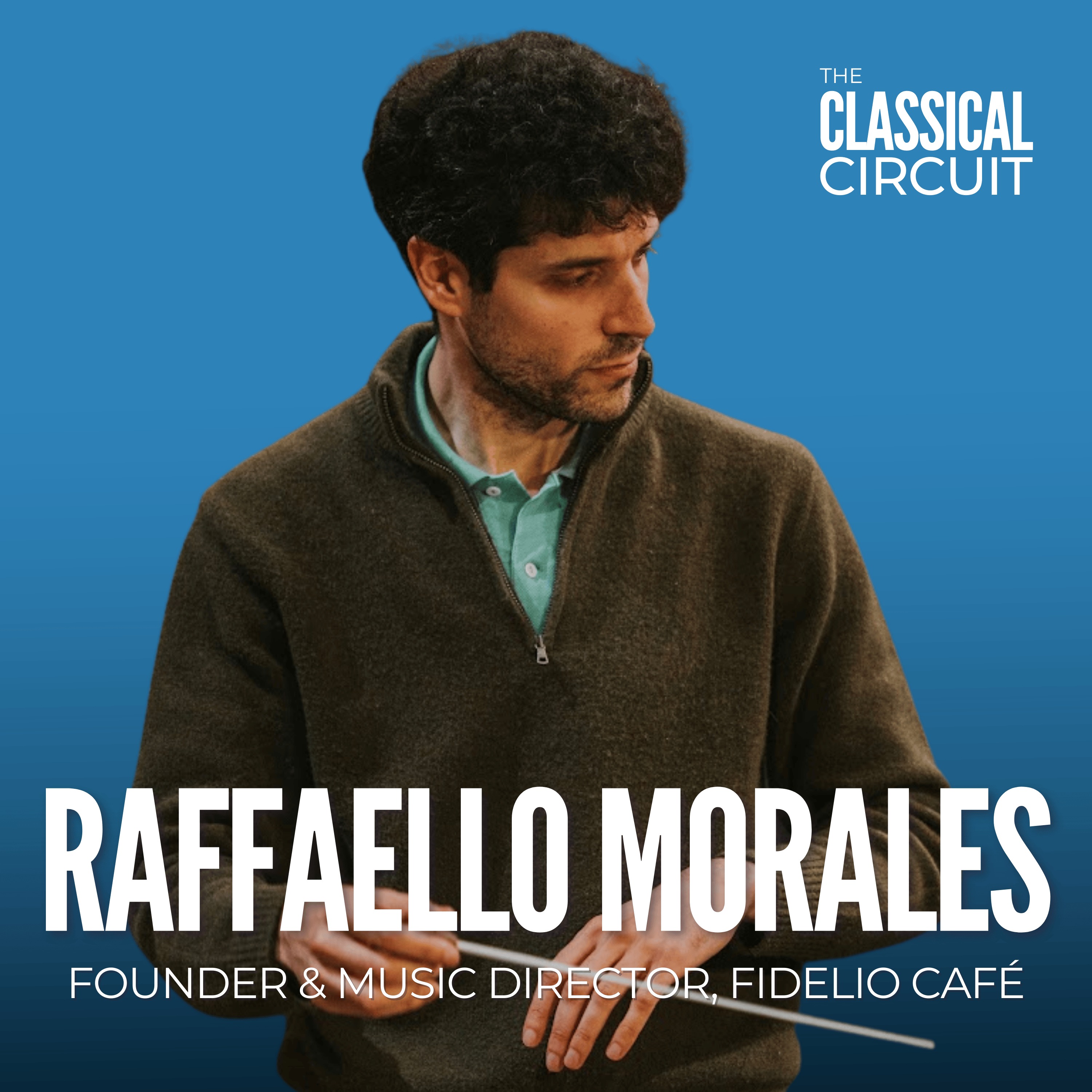 The Classical Circuit