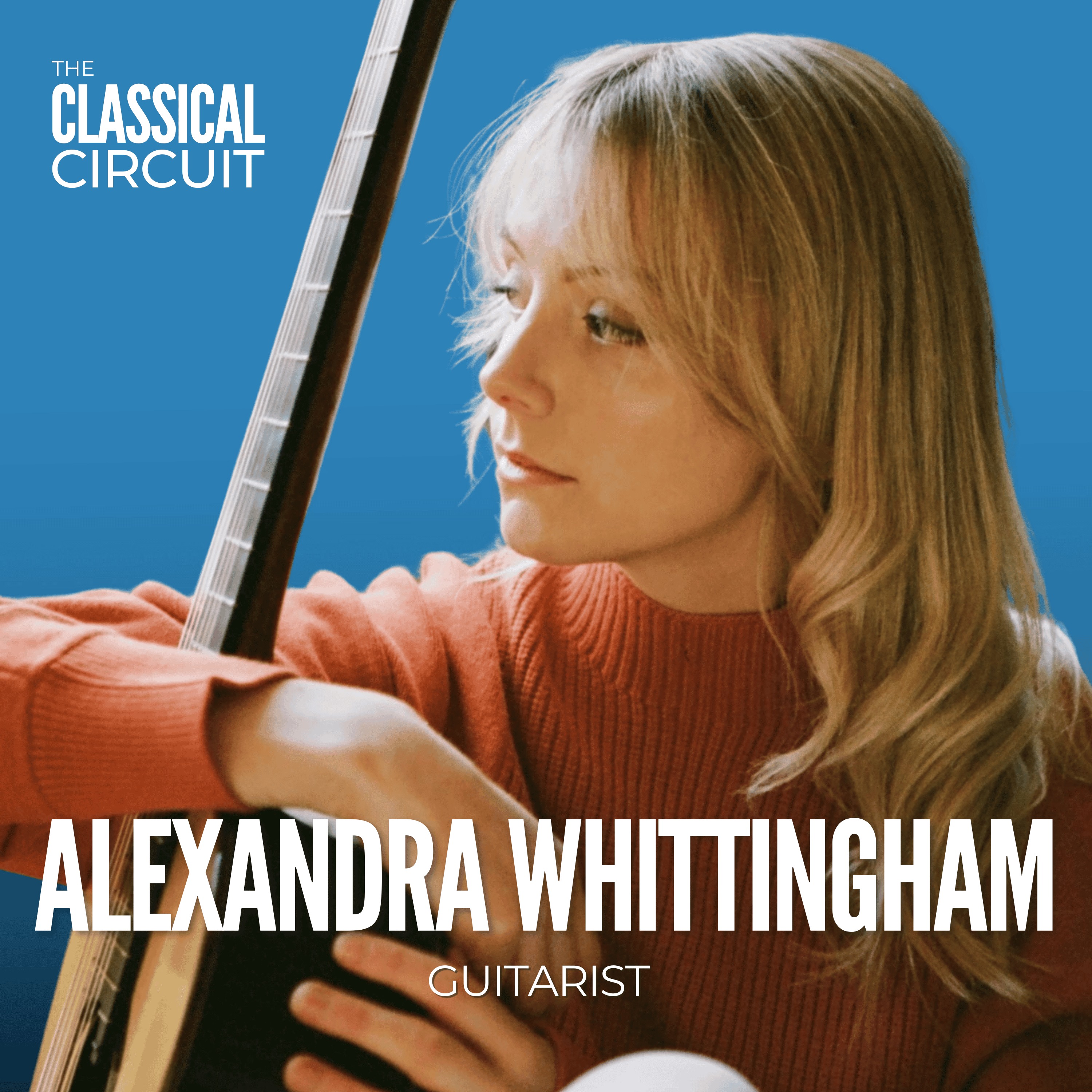 The Classical Circuit