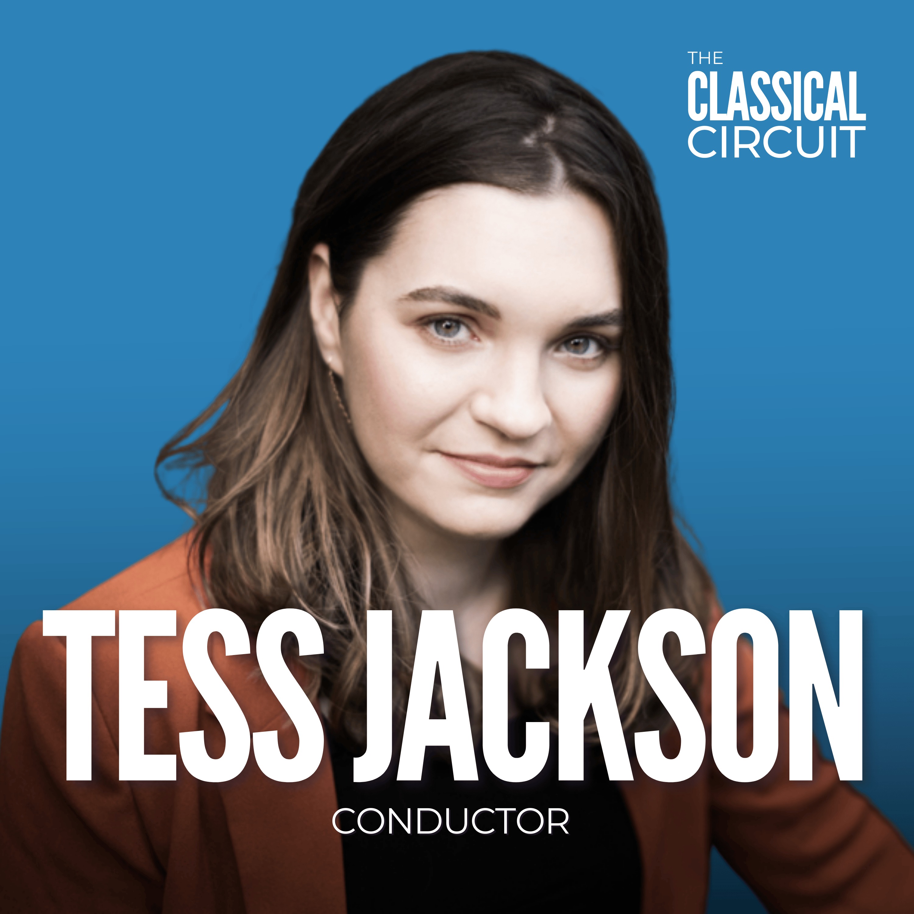 The Classical Circuit