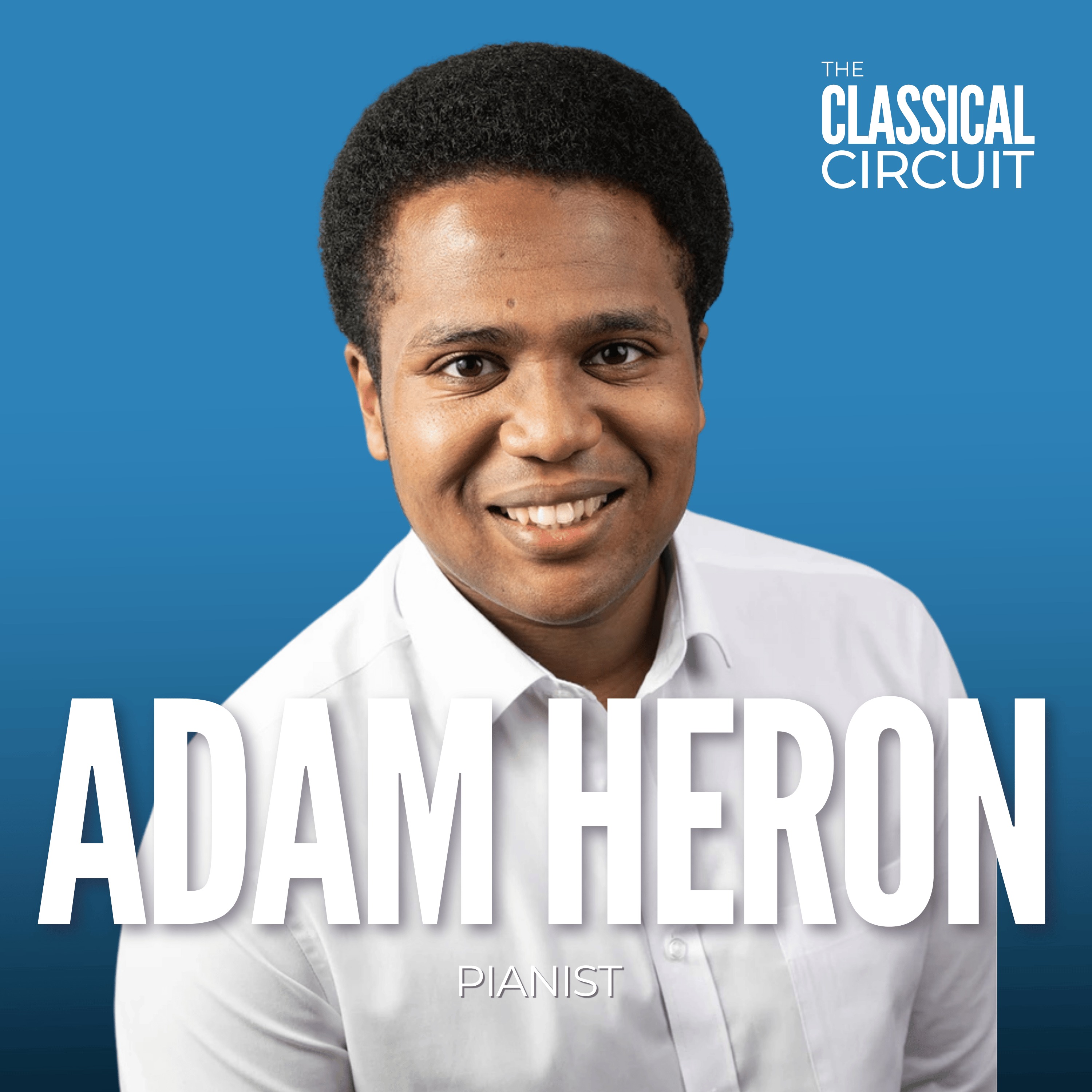 The Classical Circuit