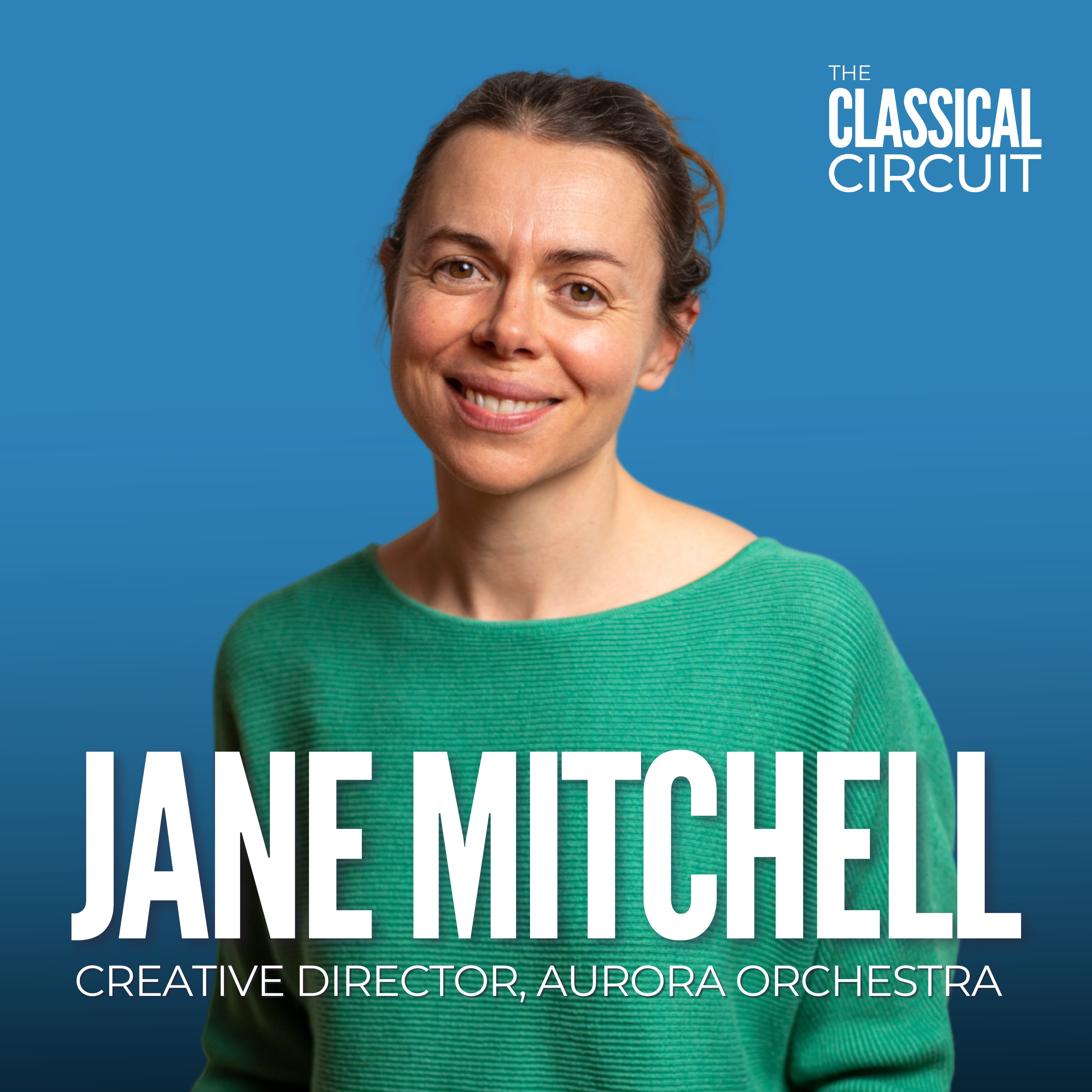 The Classical Circuit