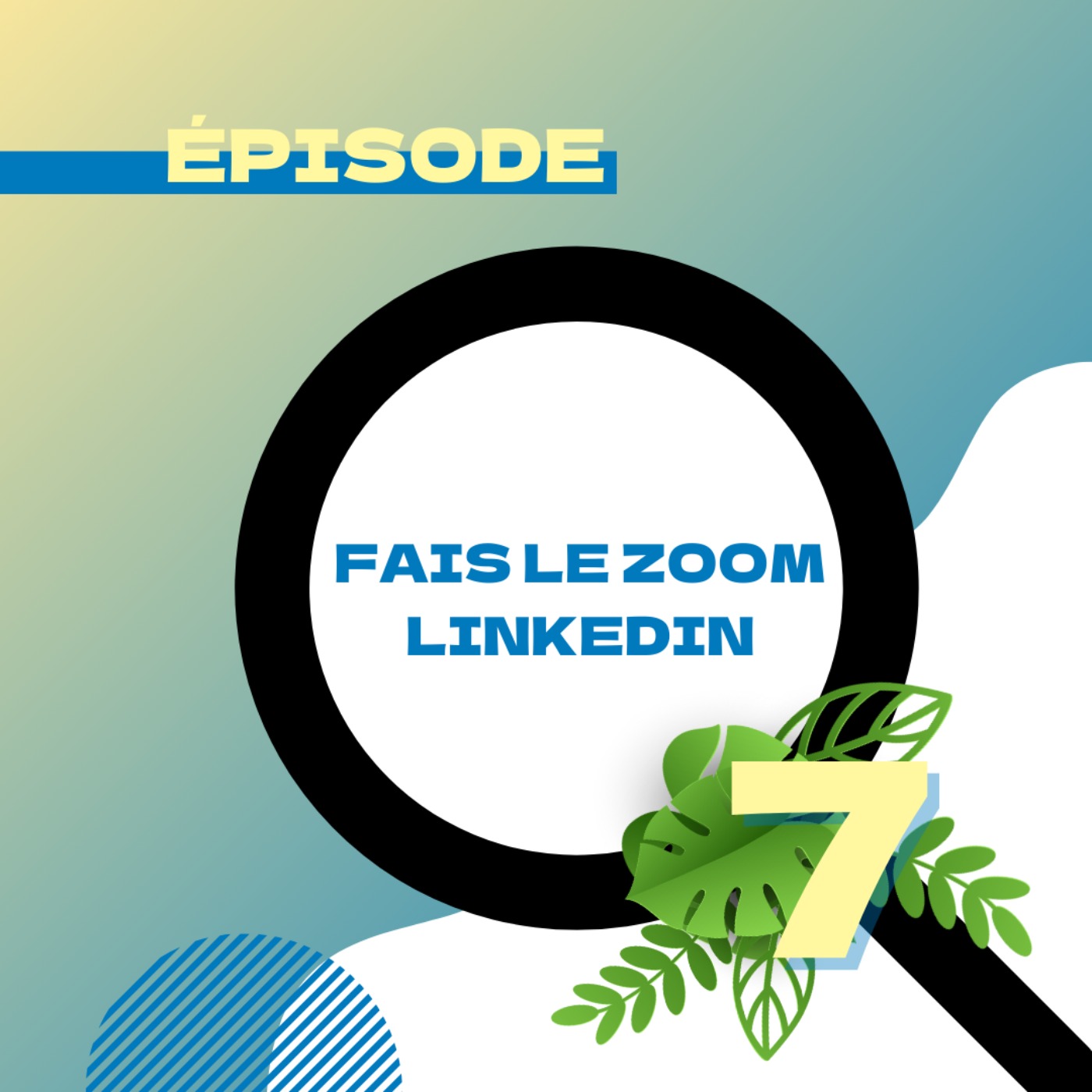 Fais le zoom sur LinkedIn