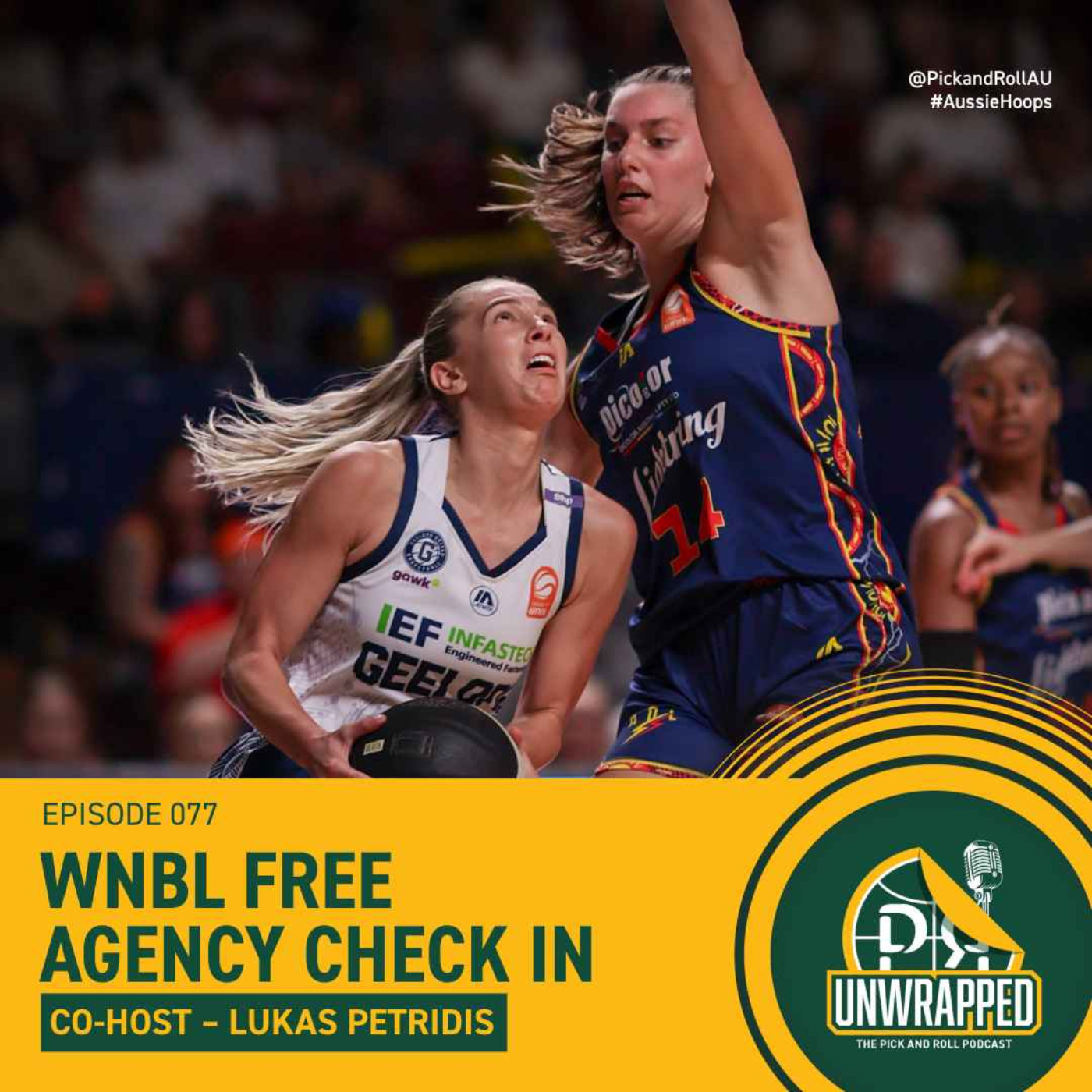 WNBL Free Agency Check In