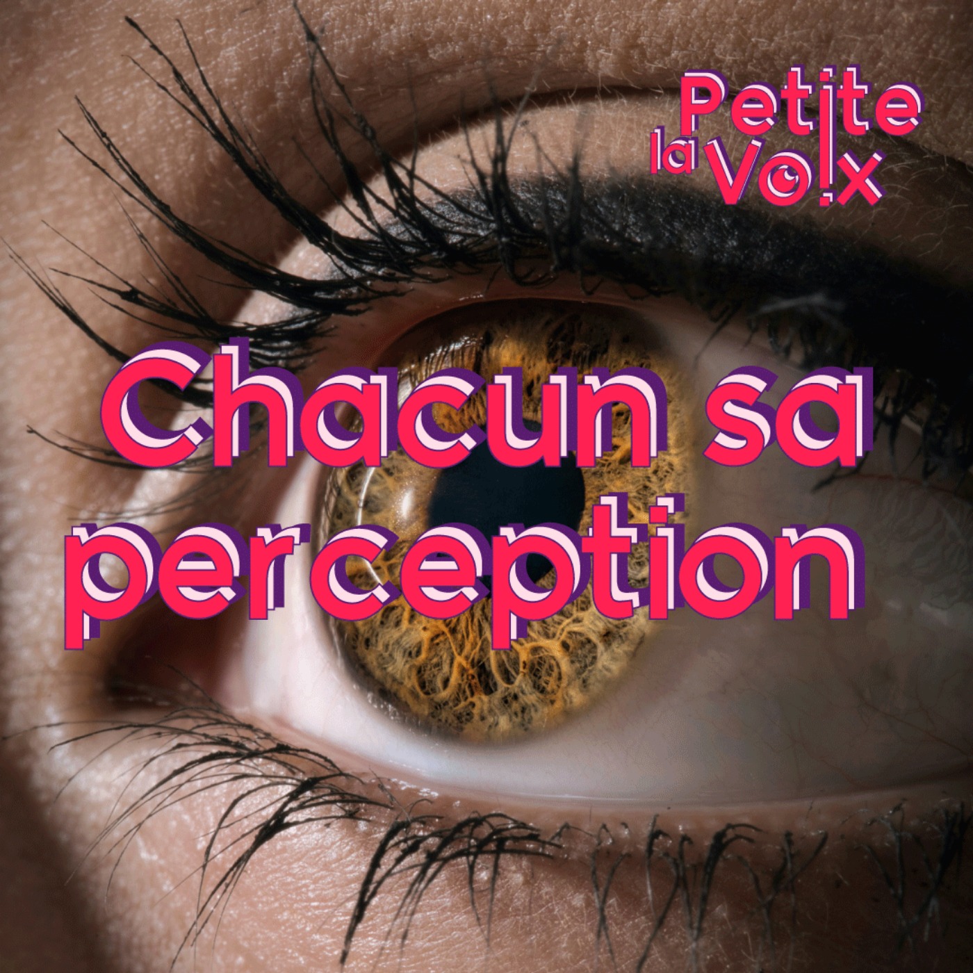 Chacun sa perception - La Petite Voix