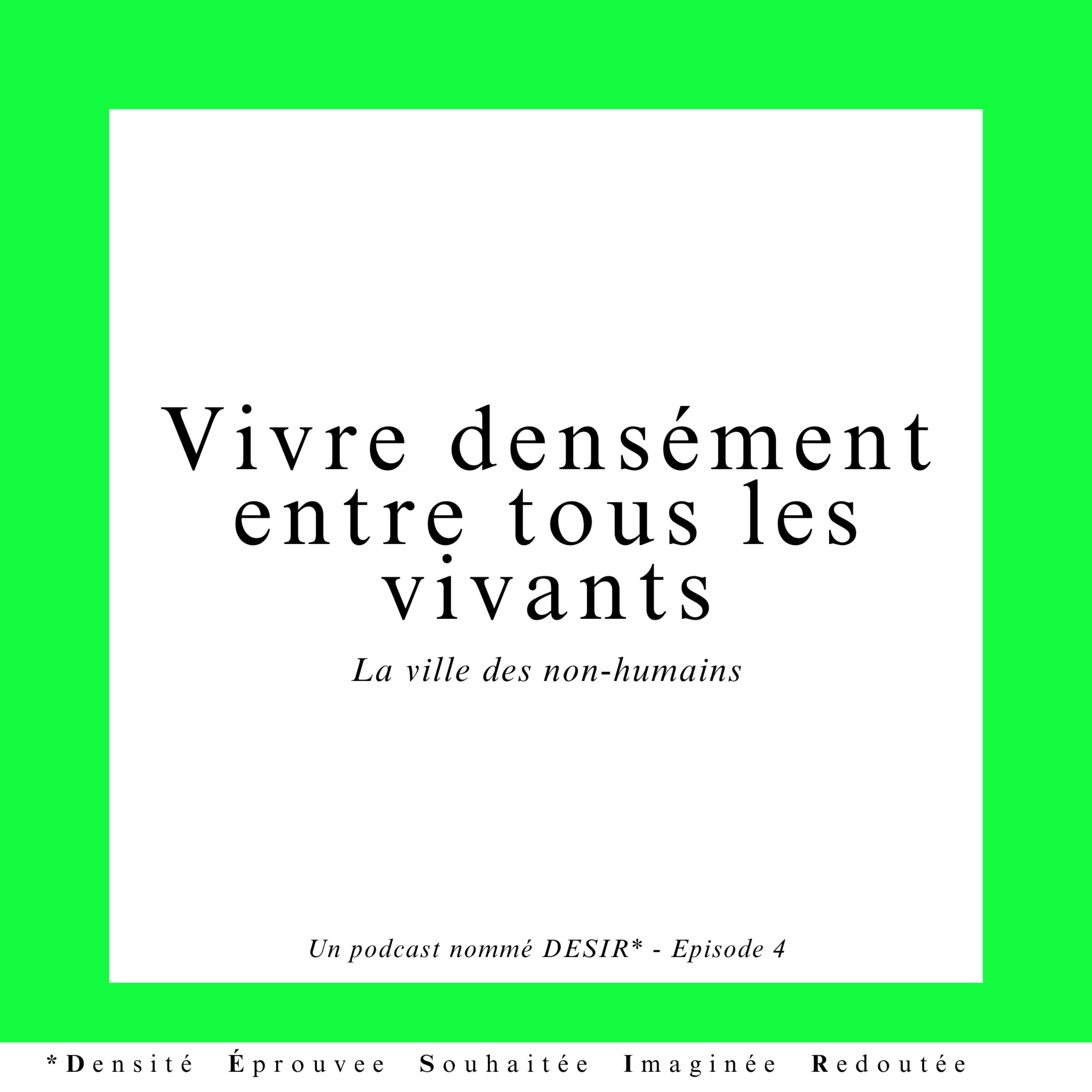 Les podcasts d\'IDHEAL