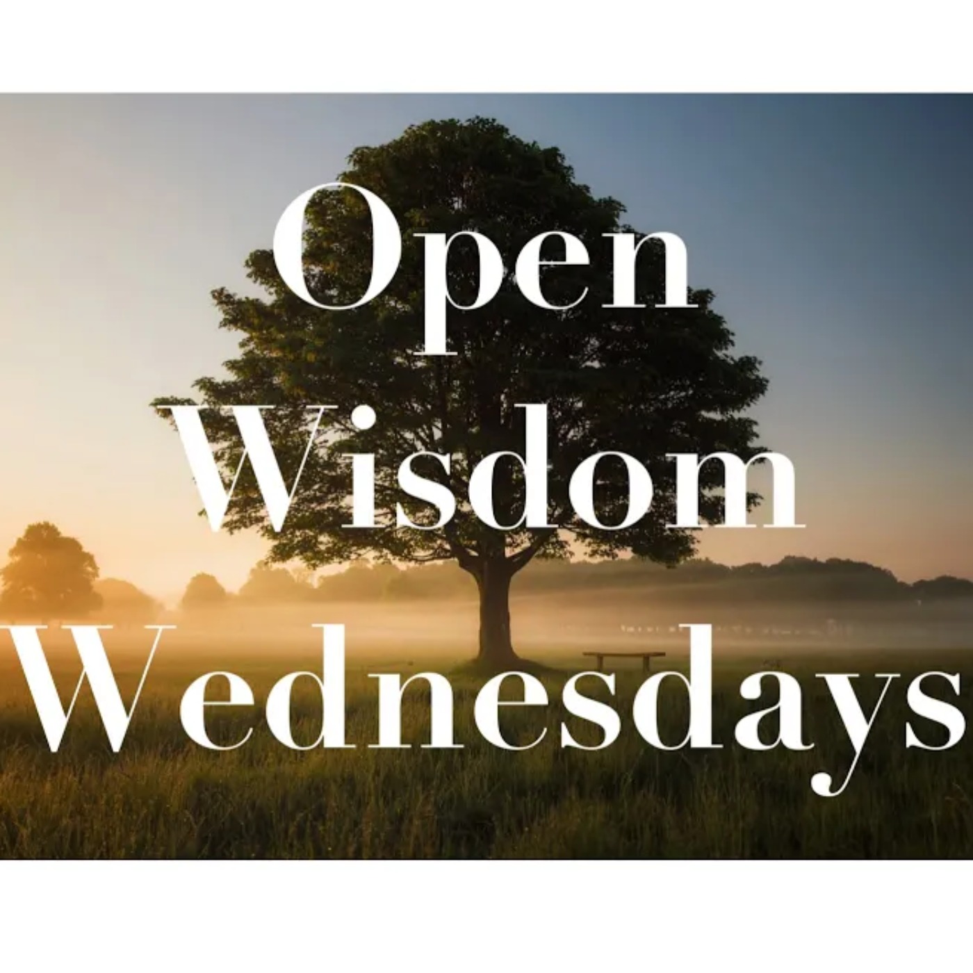 Confession as Accusation -- Wisdom Wednesdays