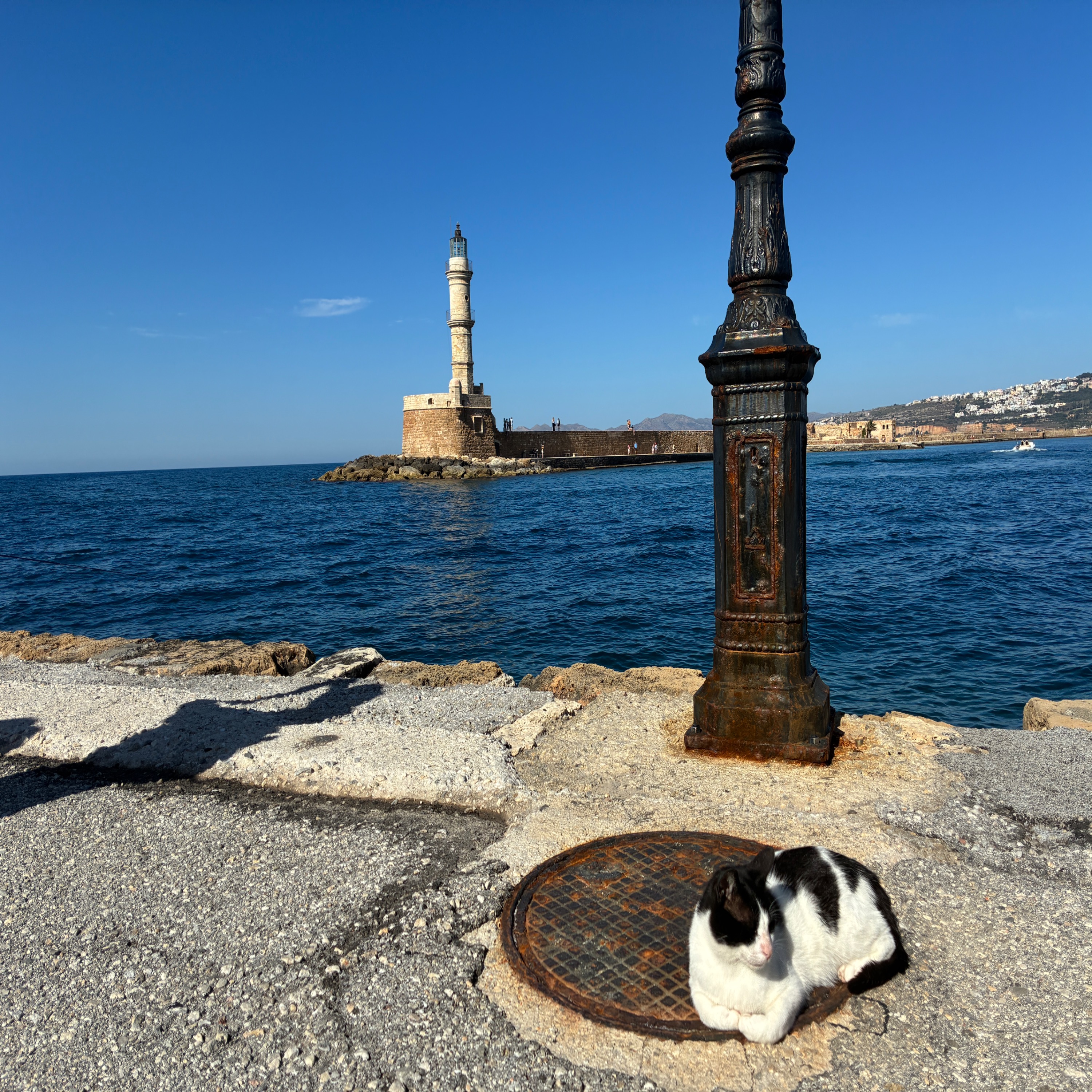 Killer Katz!?! Update From Chania, Crete episode artwork