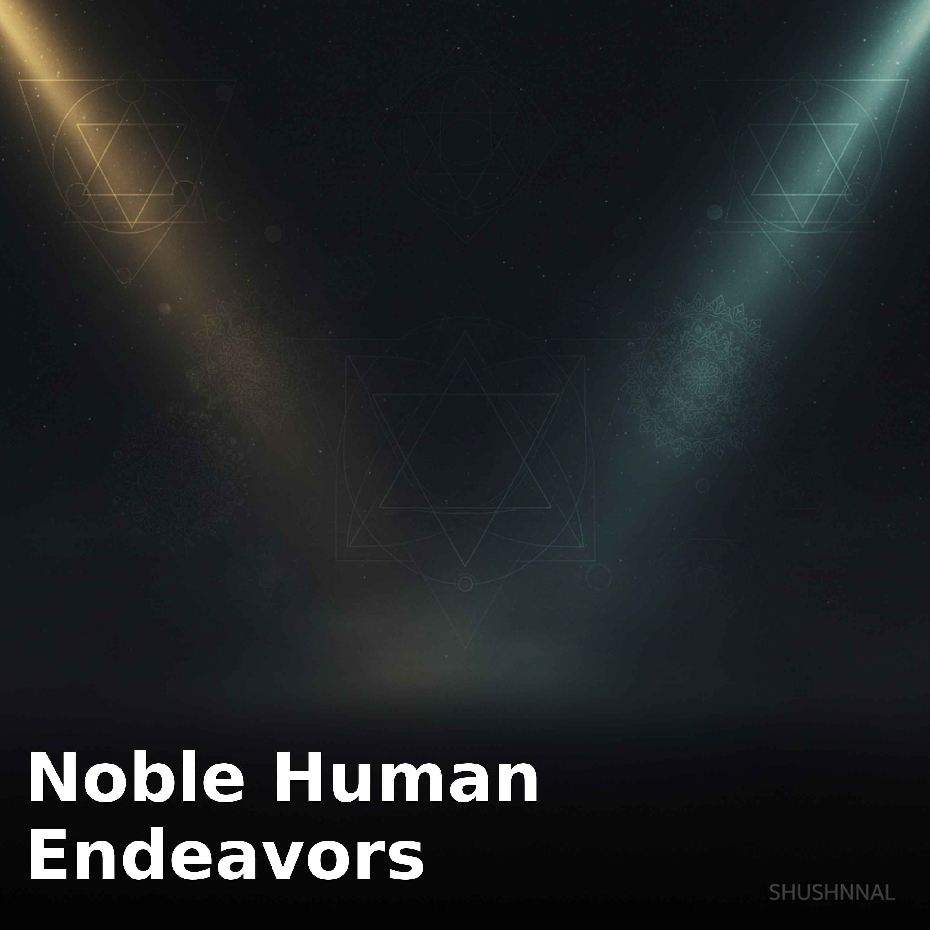 Noble Human Endeavors: (Recovered Wisdom/Noom Vibe App Recording) episode artwork