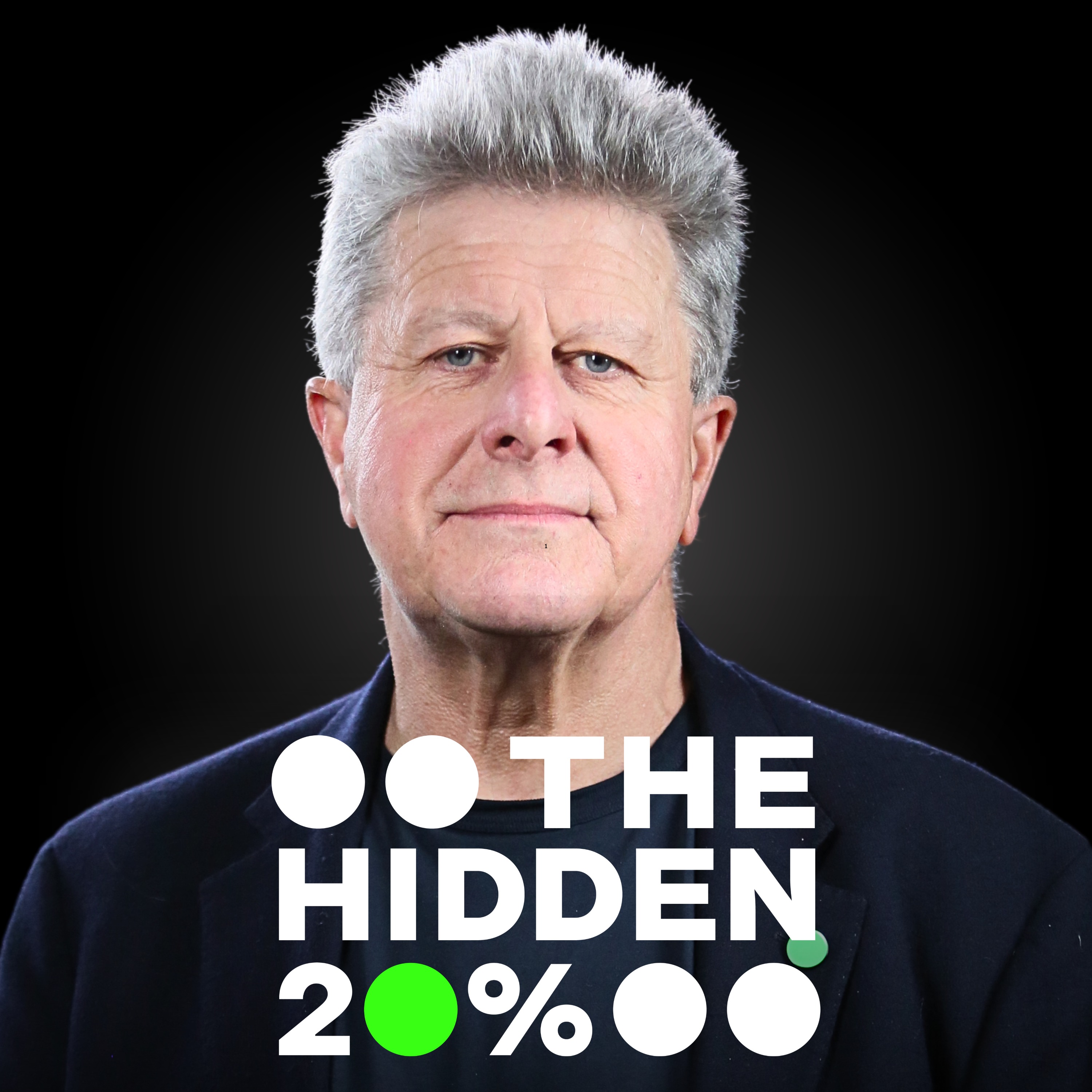 The Hidden 20%