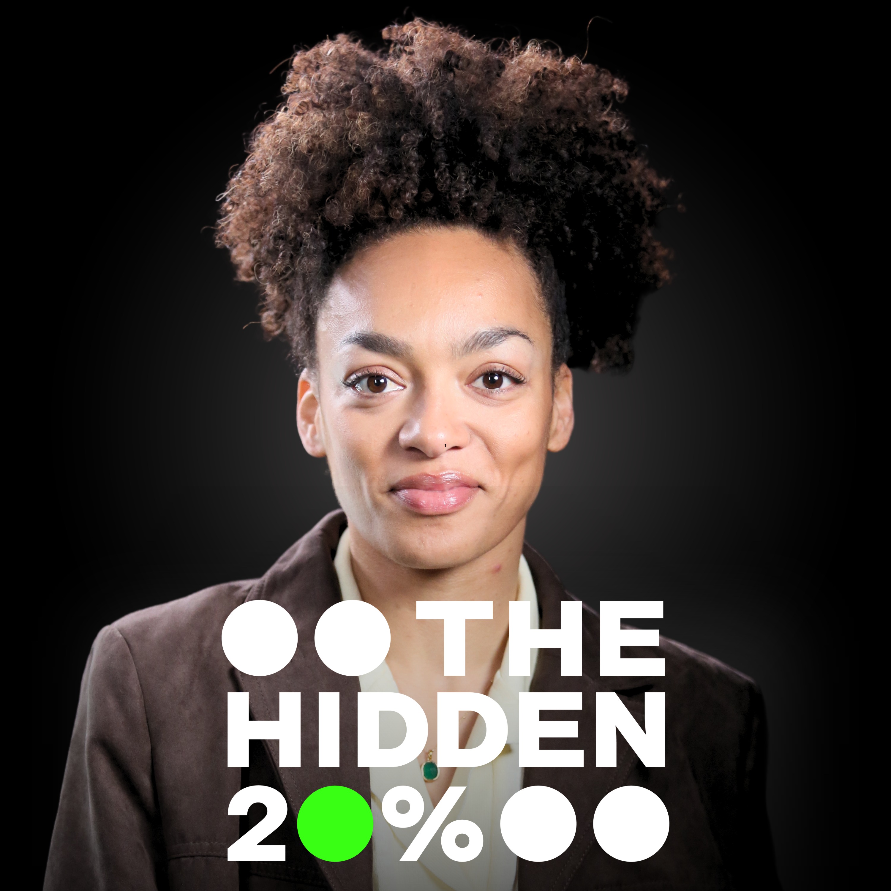 The Hidden 20%