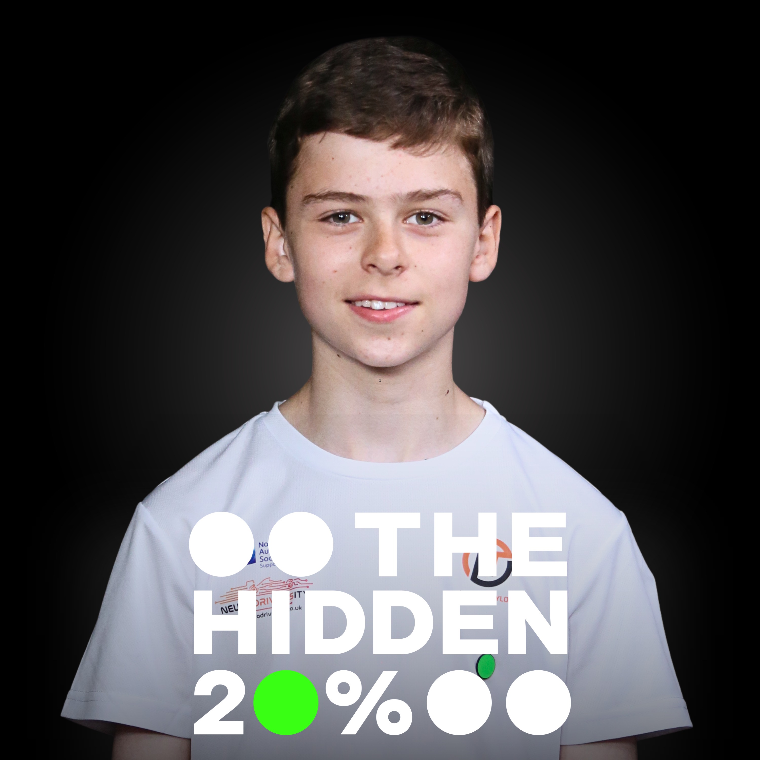 The Hidden 20%