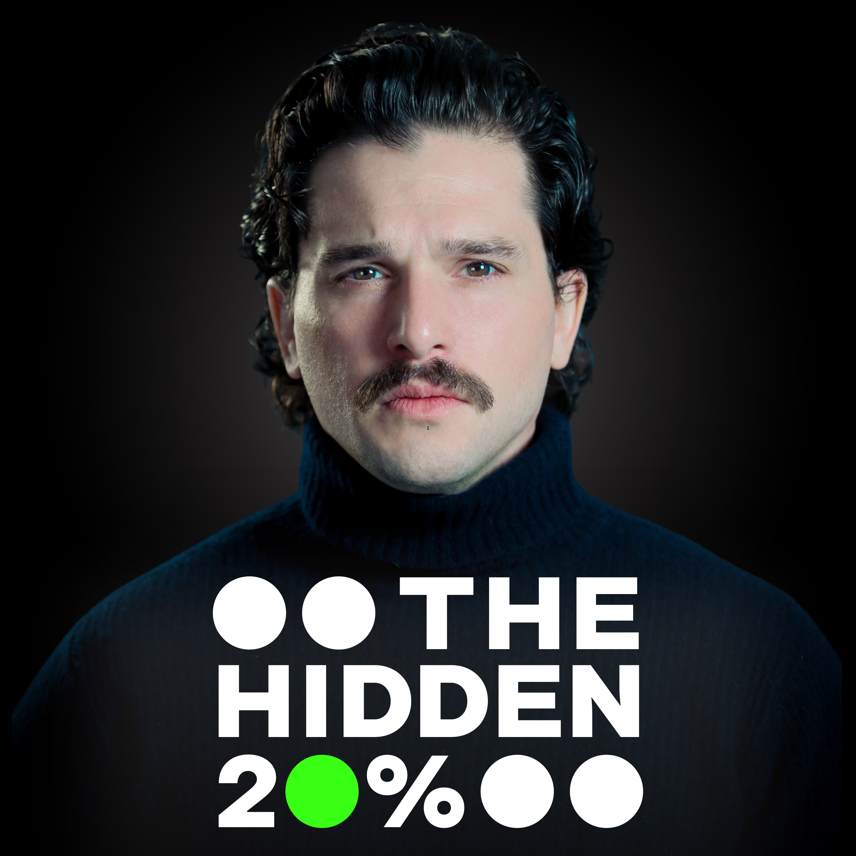 The Hidden 20%