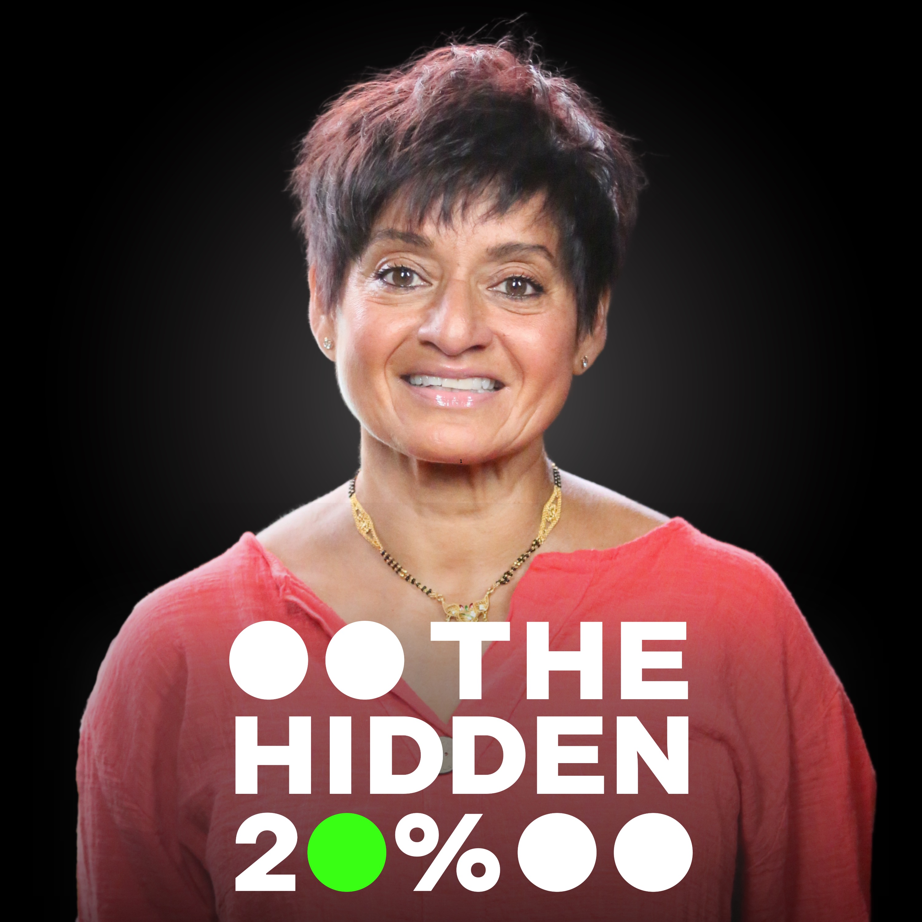 The Hidden 20%