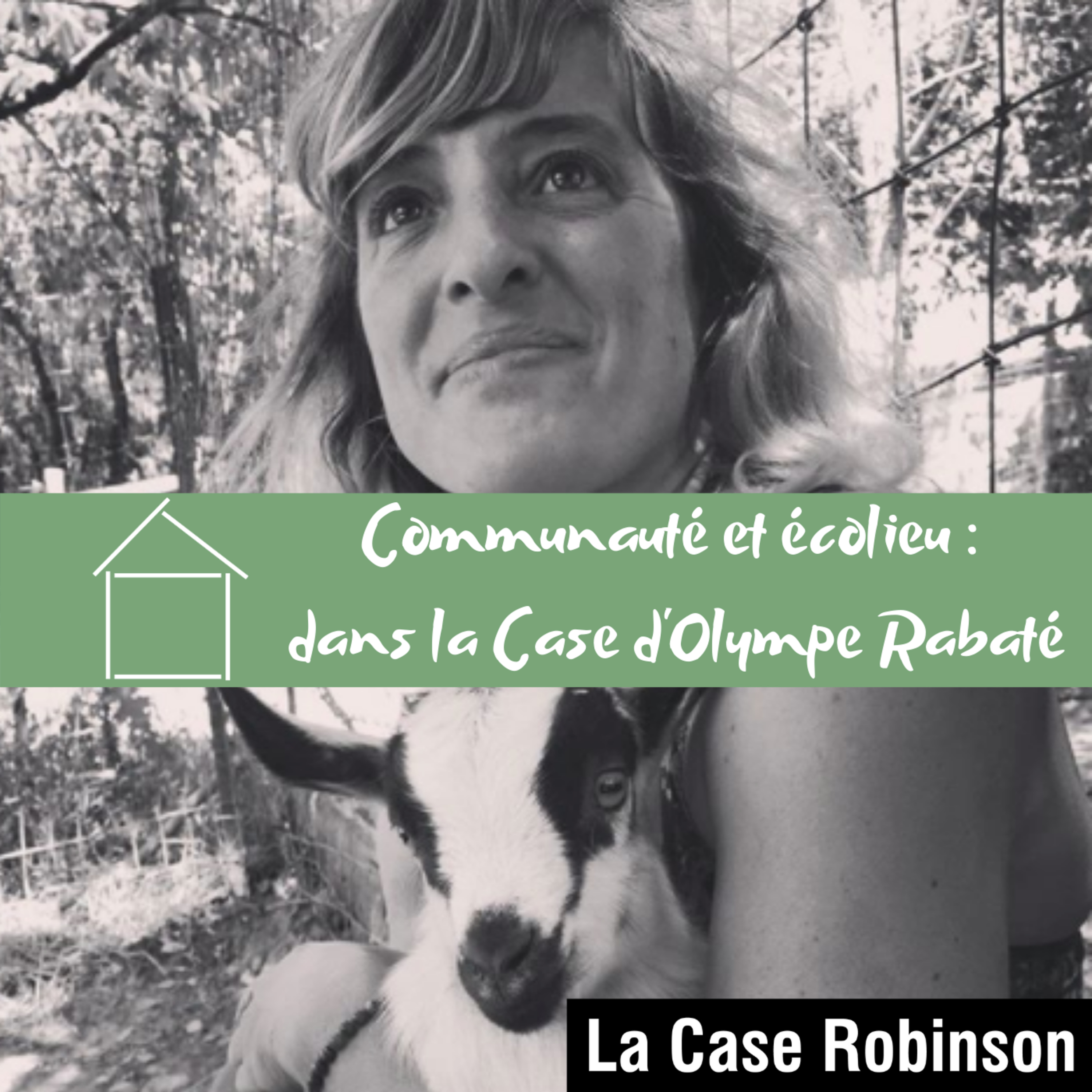 La Case Robinson