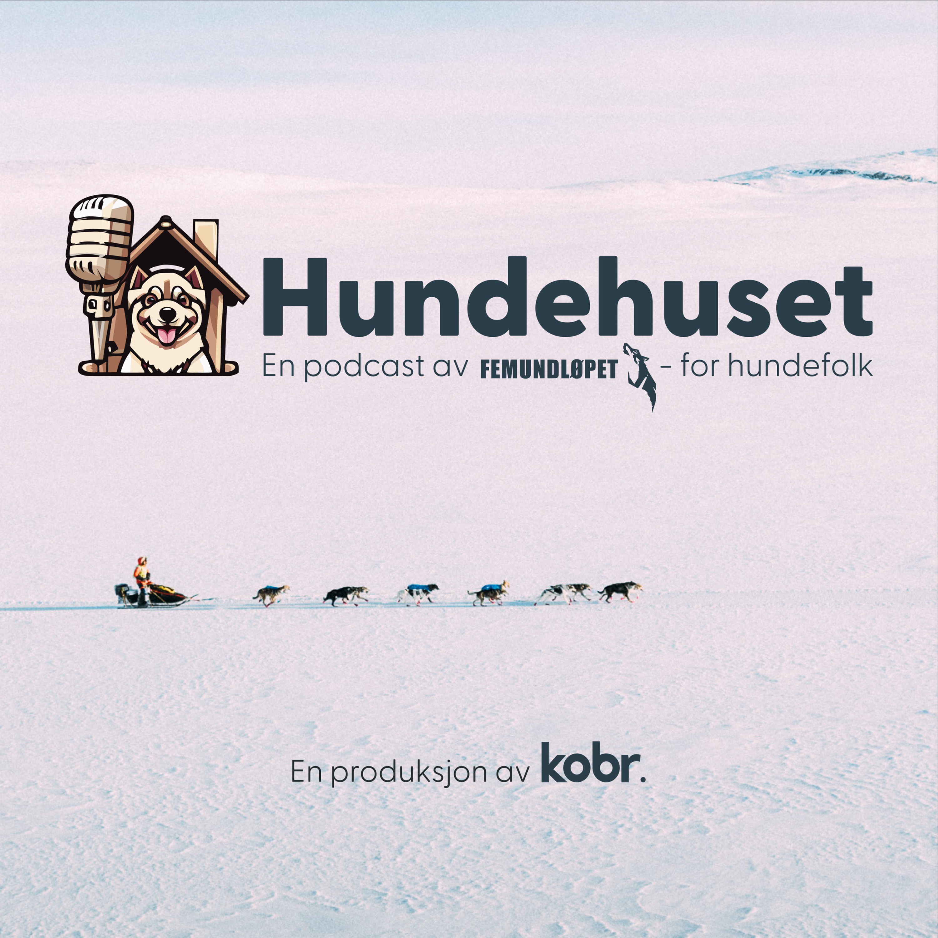 Hundetyper i hundekjøring - Hva skiller dem i ulike grener?