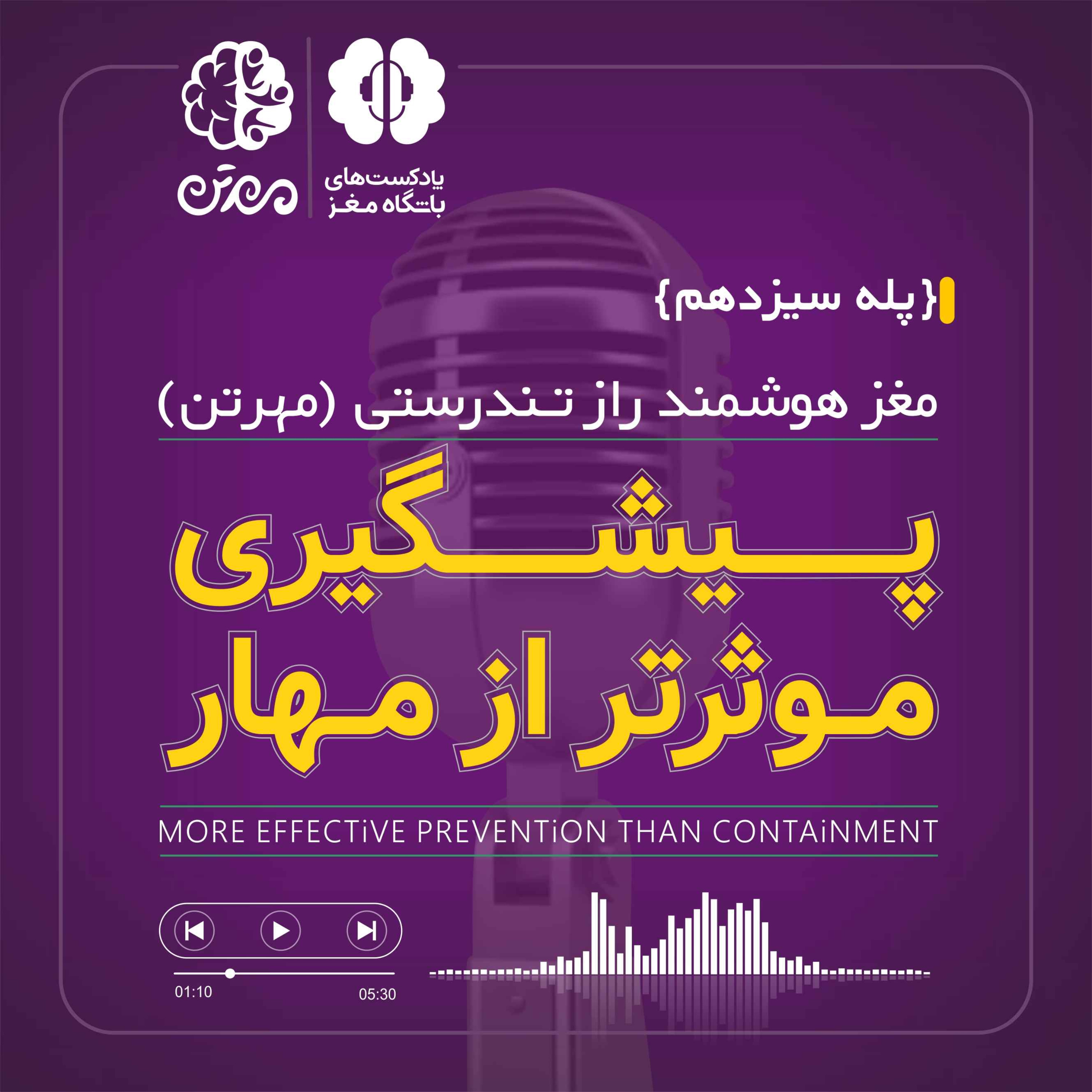 پله سیزدهم: پیشگیری موثرتر از مهار