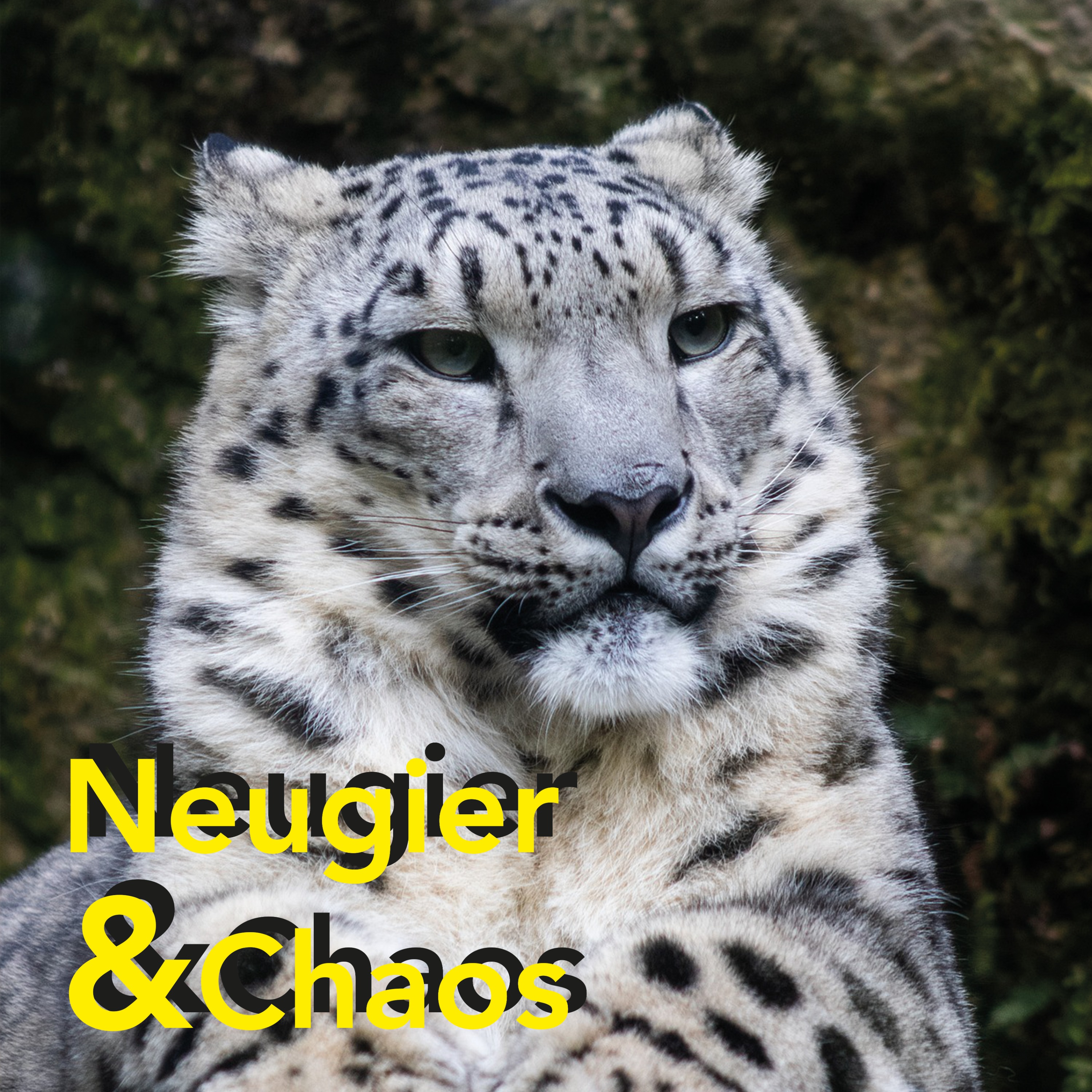 Neugier & Chaos