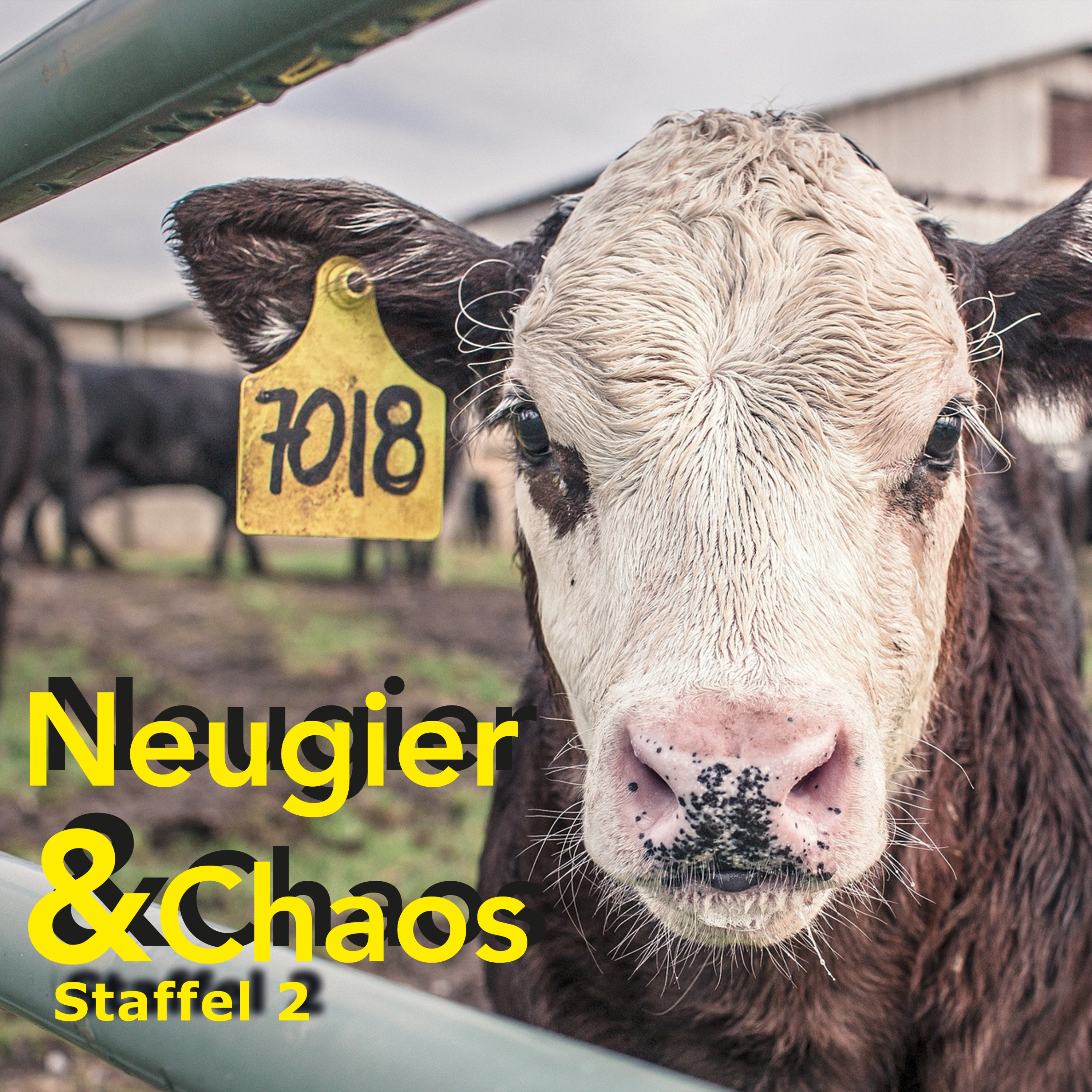 Neugier & Chaos
