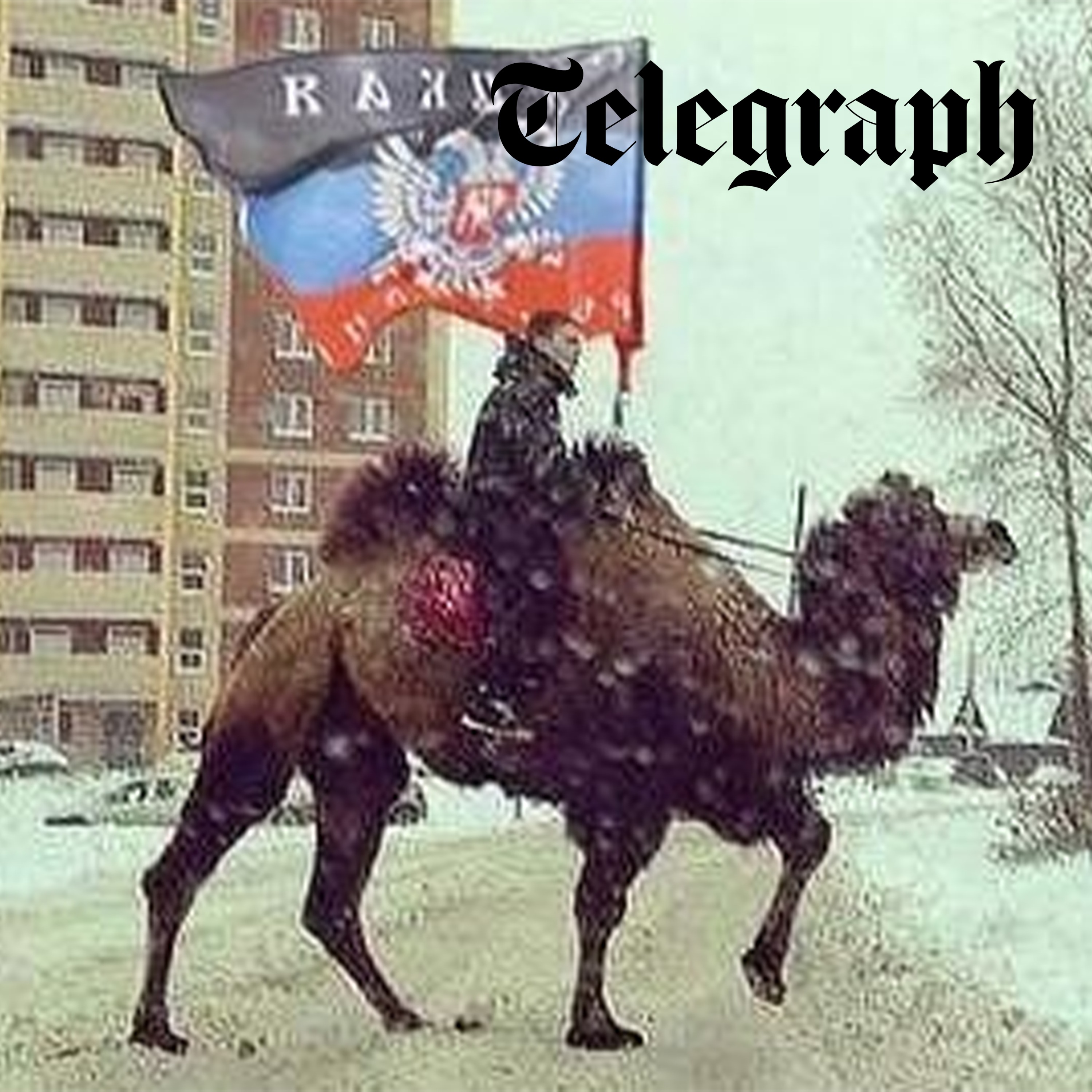 Ukraine strikes elite Russian unit on Black Sea oil rig & rescues camel from overrun Russian position