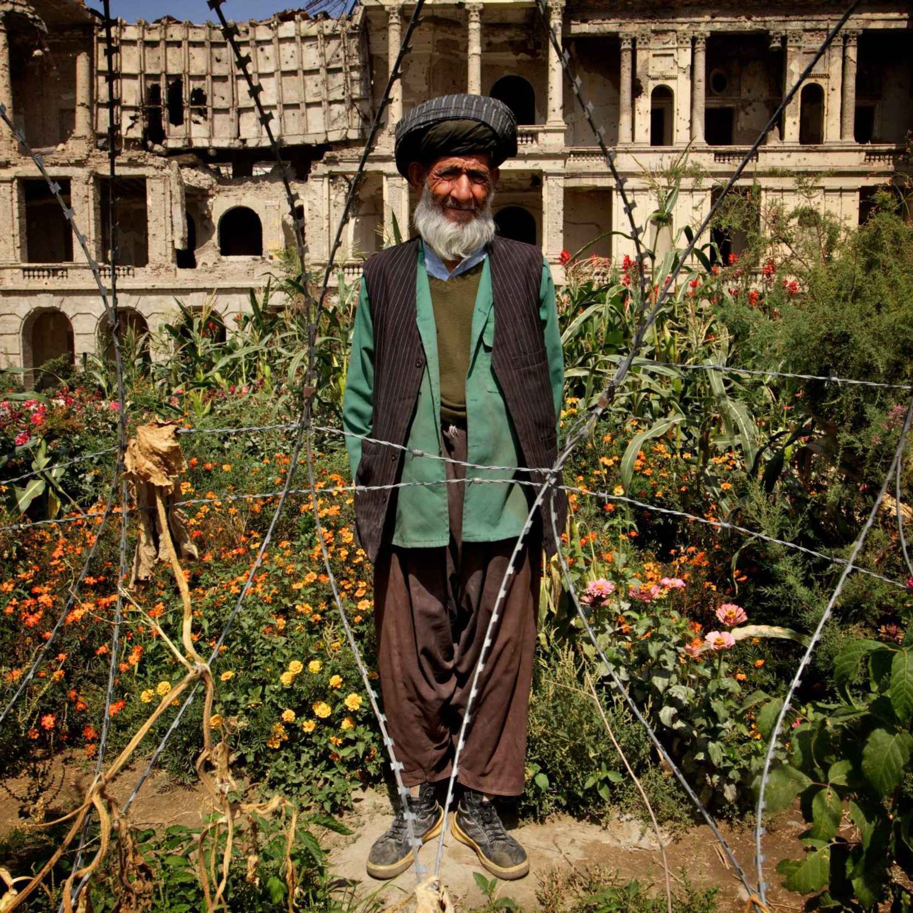 Gardening in war