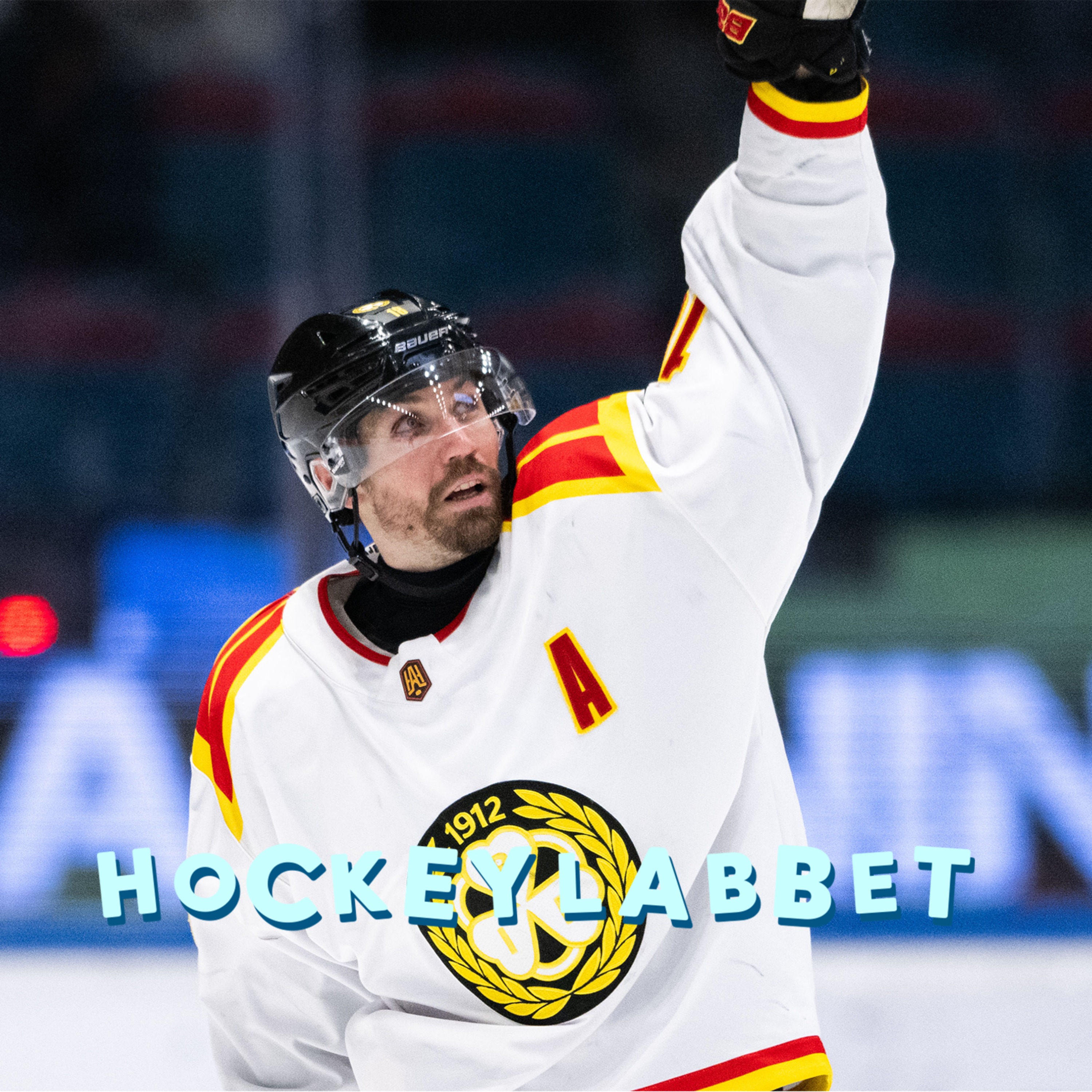 cover art for Hockeyallsvenskan All Stars