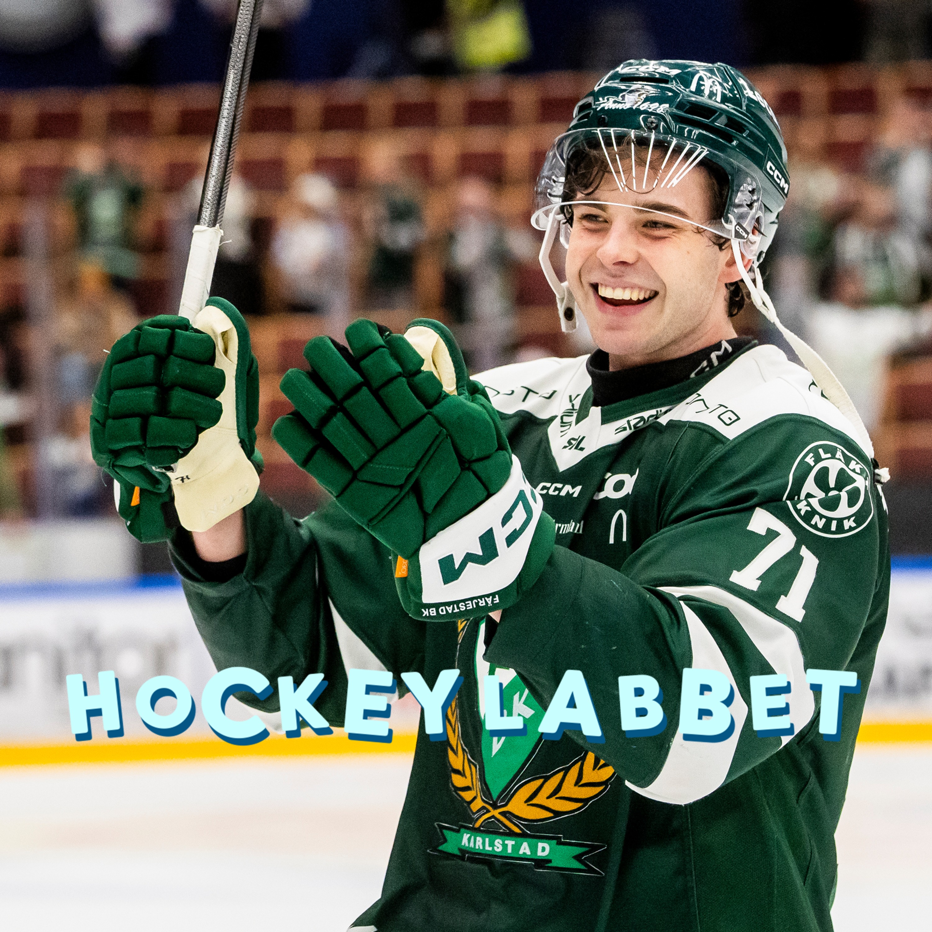 Hockeylabbet HC