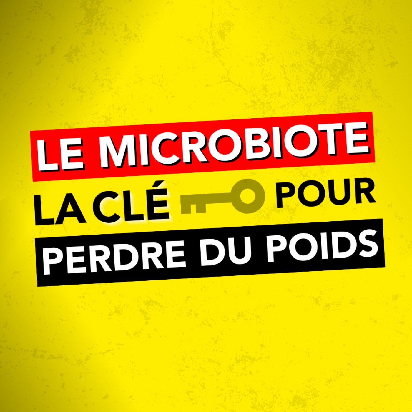 #19 - 5 nouvelles ETUDES passionnantes décryptées par L'EXPERT du MICROBIOTE [Dr Scanzi]