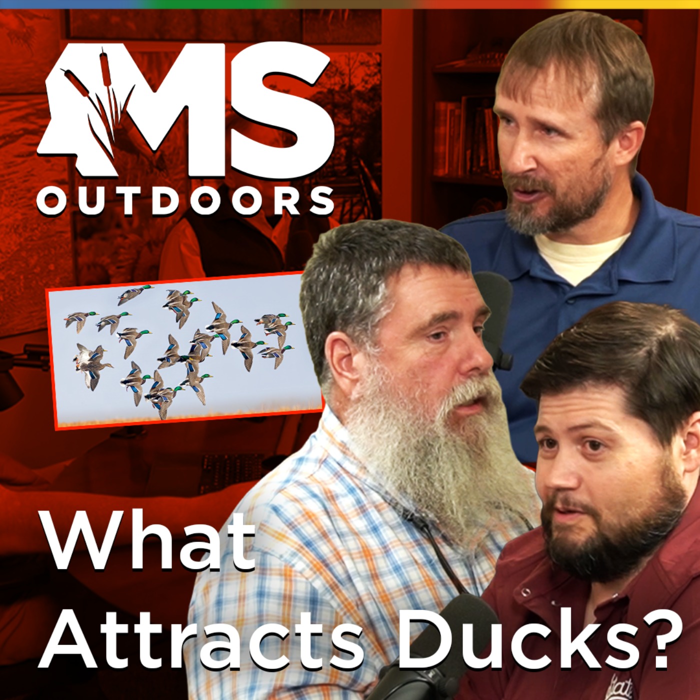 Better Habitat, Better Duck Hunting in Mississippi episode artwork