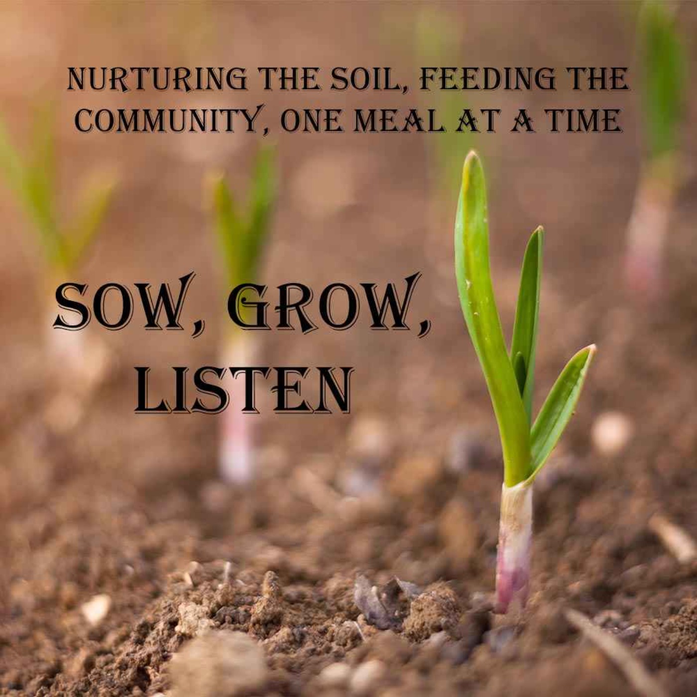 cover art for What are Microgreens? 