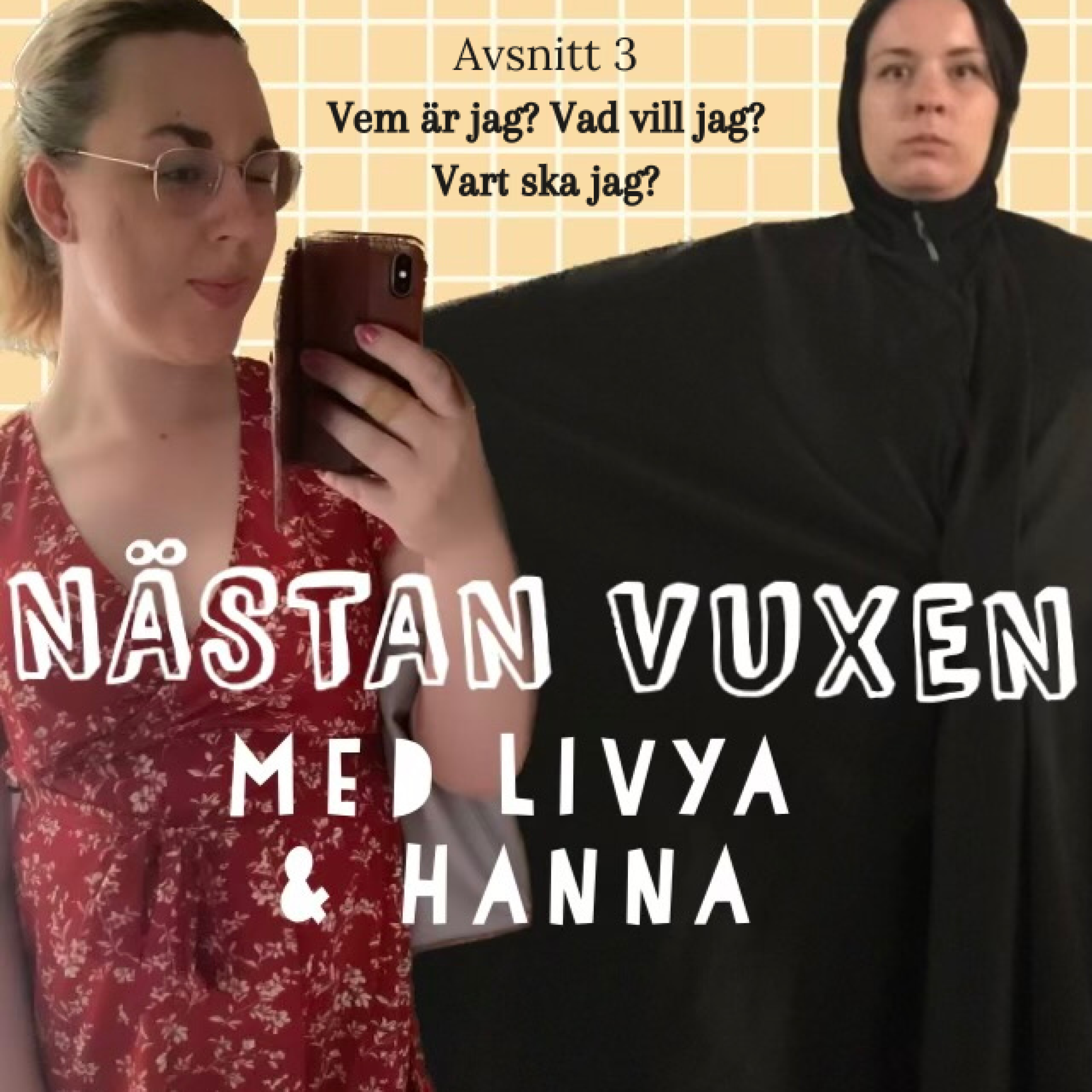 Vem är jag? Vad vill jag? Vart ska jag? episode artwork